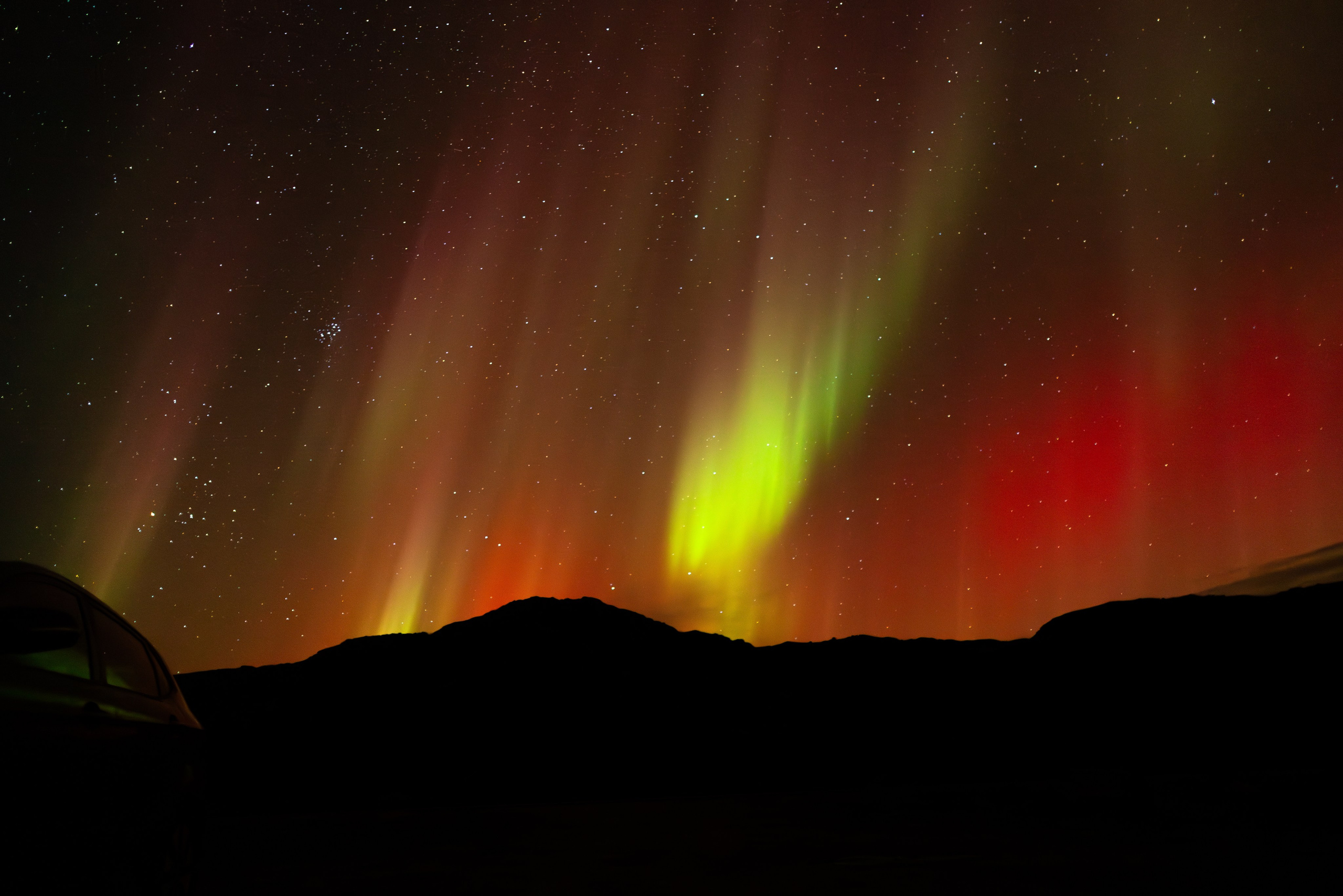 Кольский. Фотограф и видеограф анималист Аганина Дарья