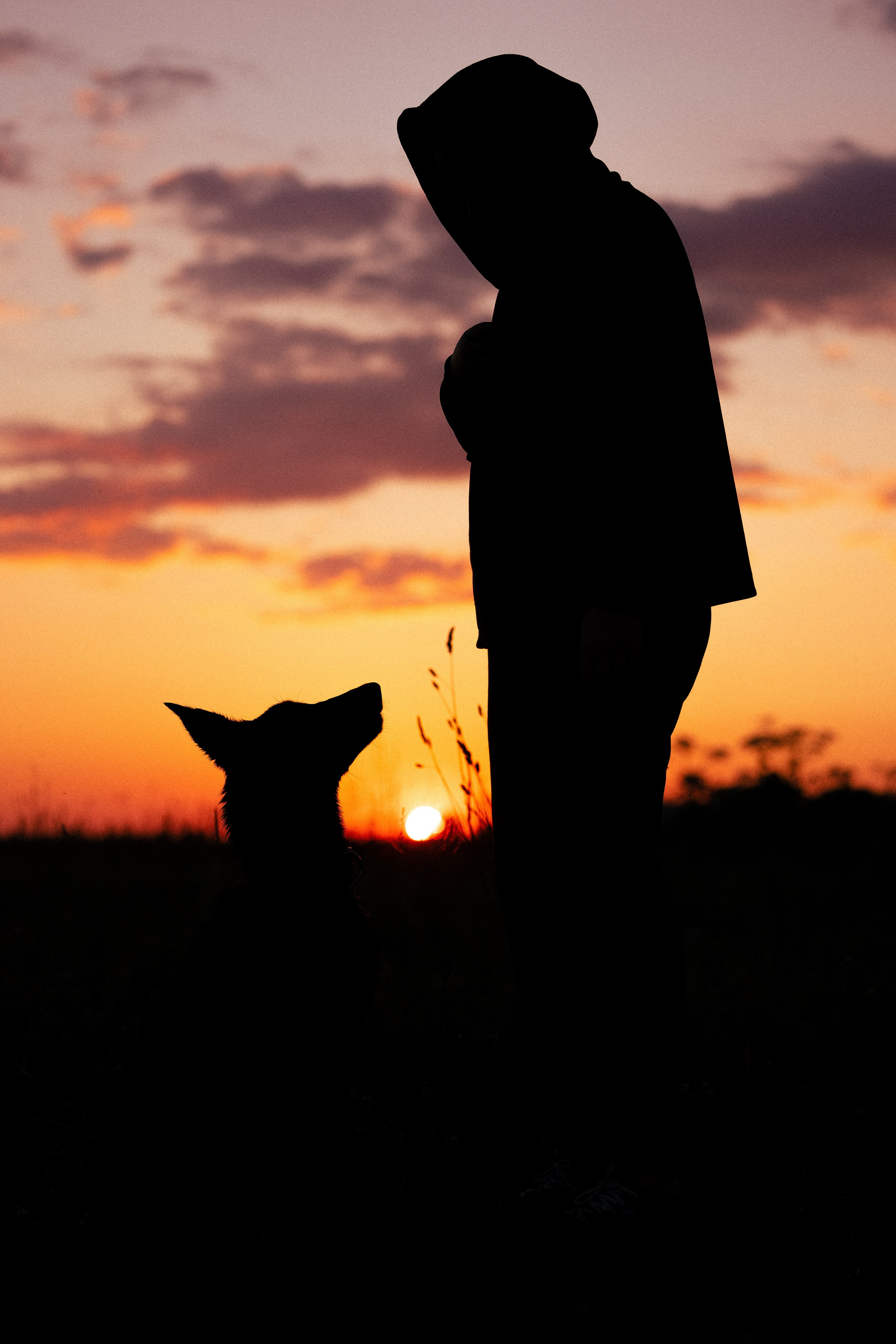 Галина и Лоя. Фотограф и видеограф анималист Аганина Дарья