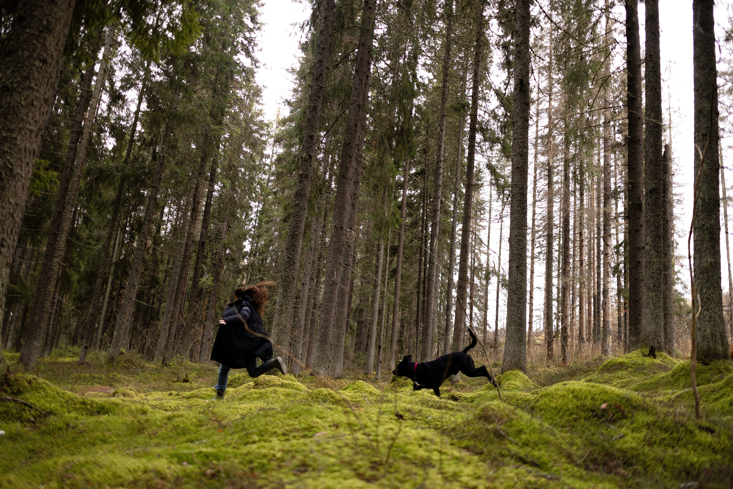 Karelia. Фотограф и видеограф анималист Аганина Дарья