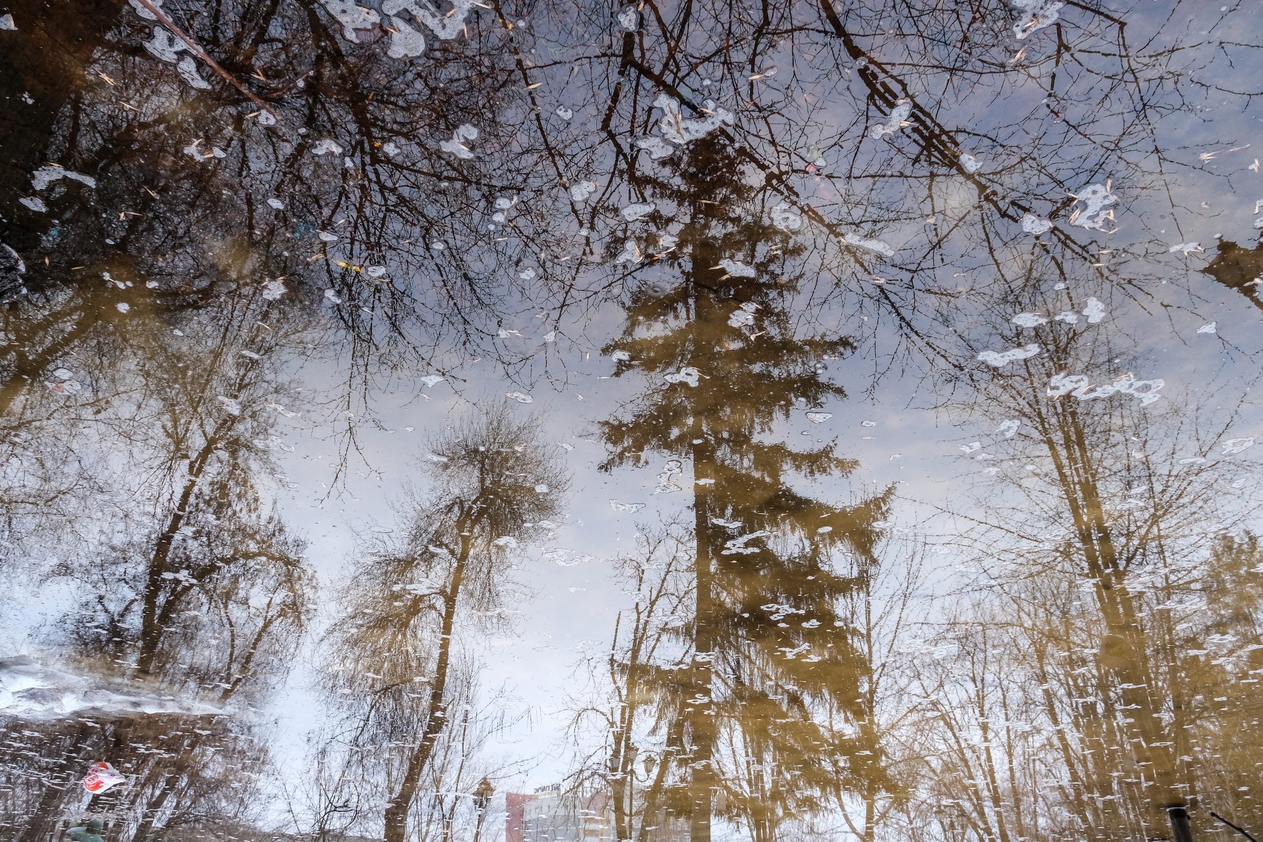 Пейзажи. Фотограф Дмитрий Алексеев