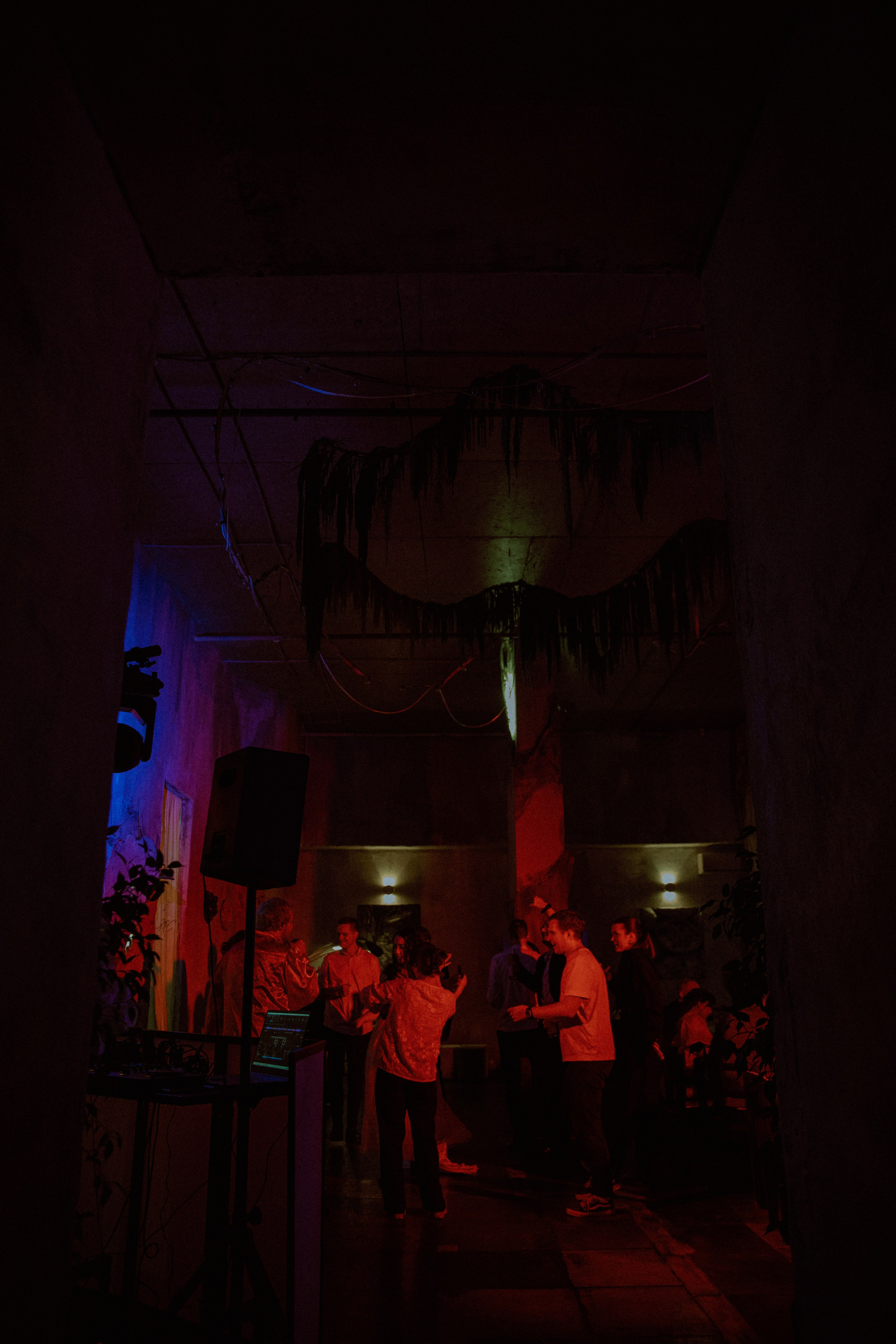 Watermelon party. Свадебный и репортажный фотограф