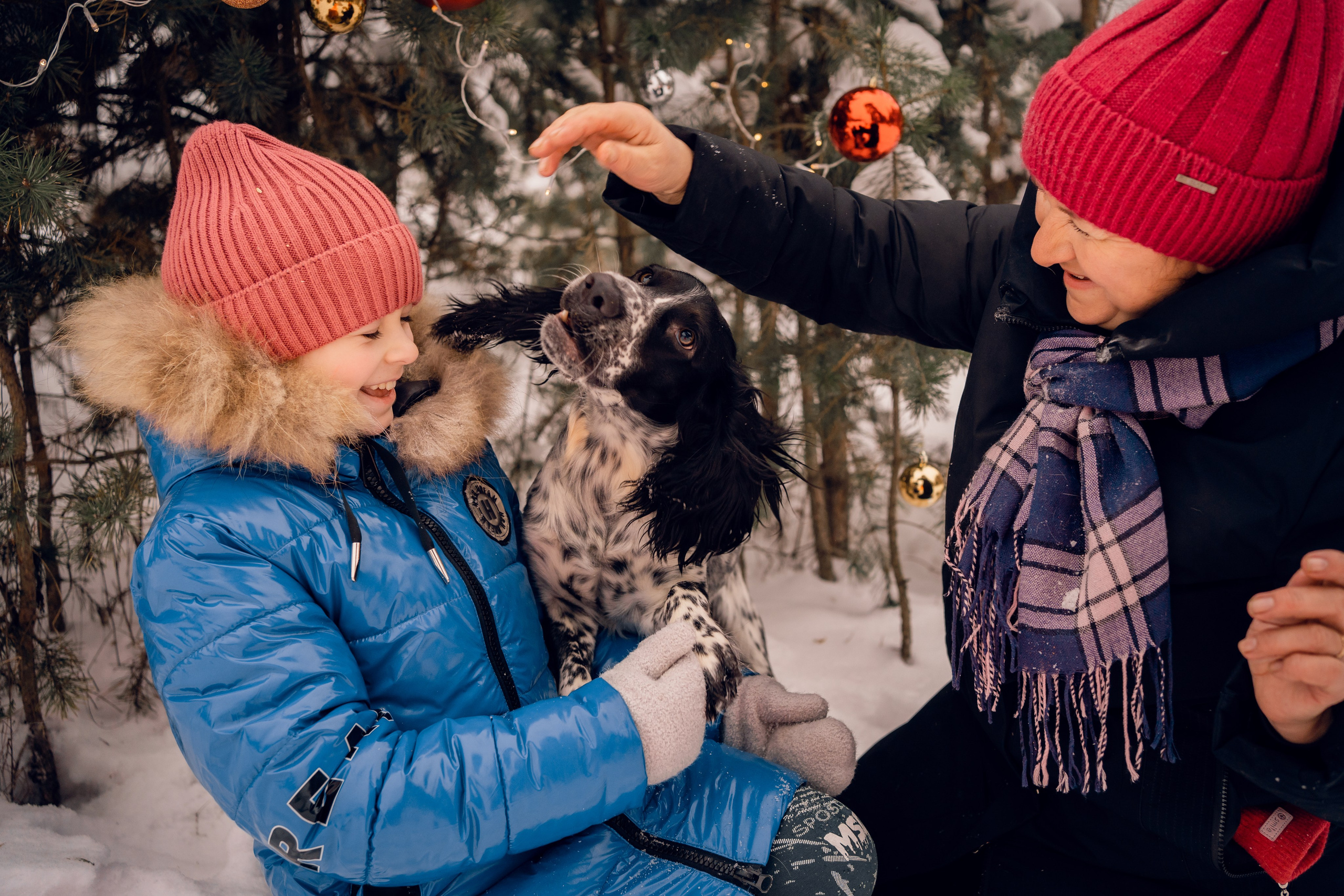 Г. Миасс 2023-2024. Фотограф-анималист Анастасия Большакова