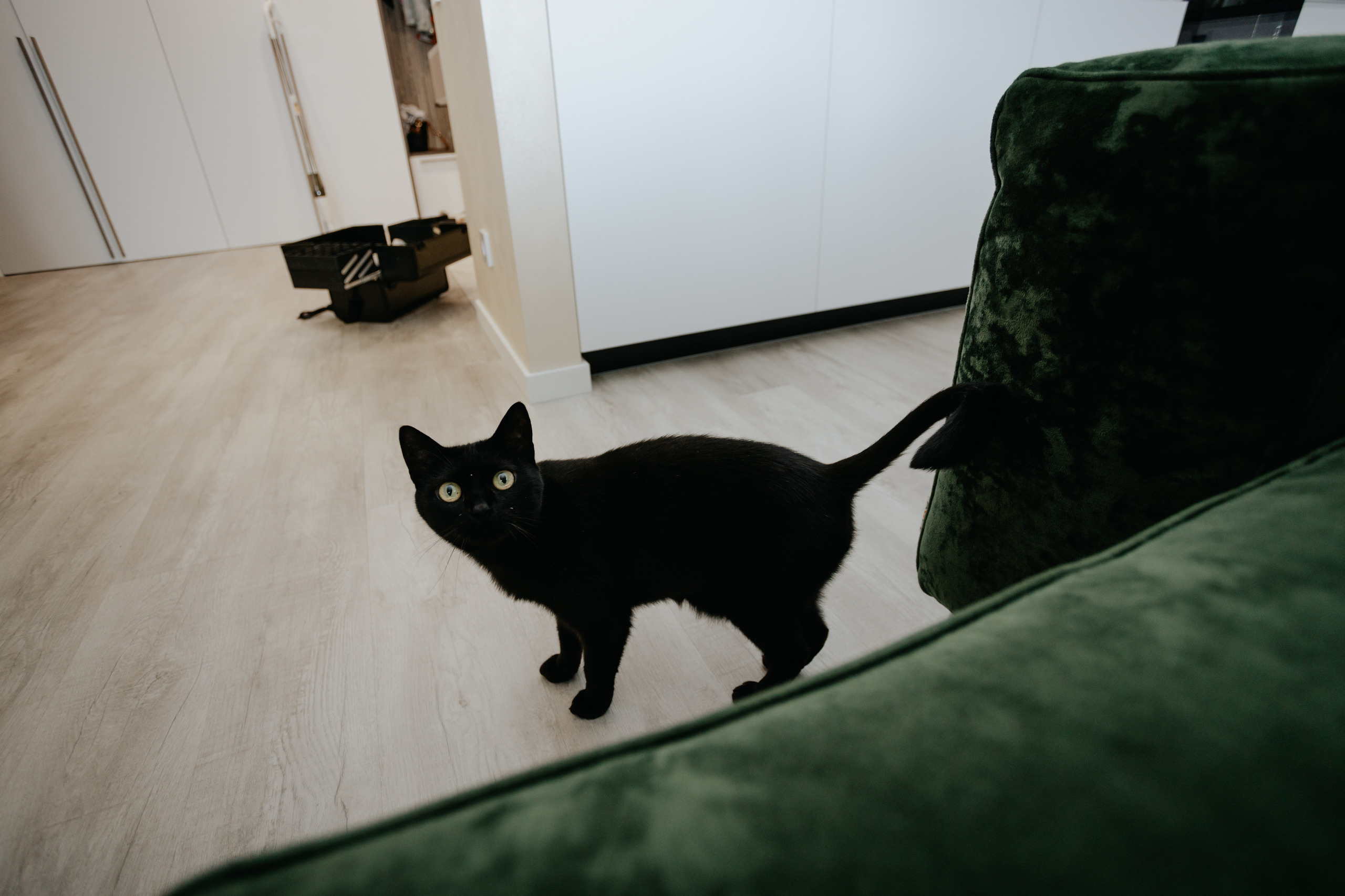 Отзывы о фотографе Дмитрии Кувшинове. Свадебный фотограф в Витебске Дмитрий Кувшинов