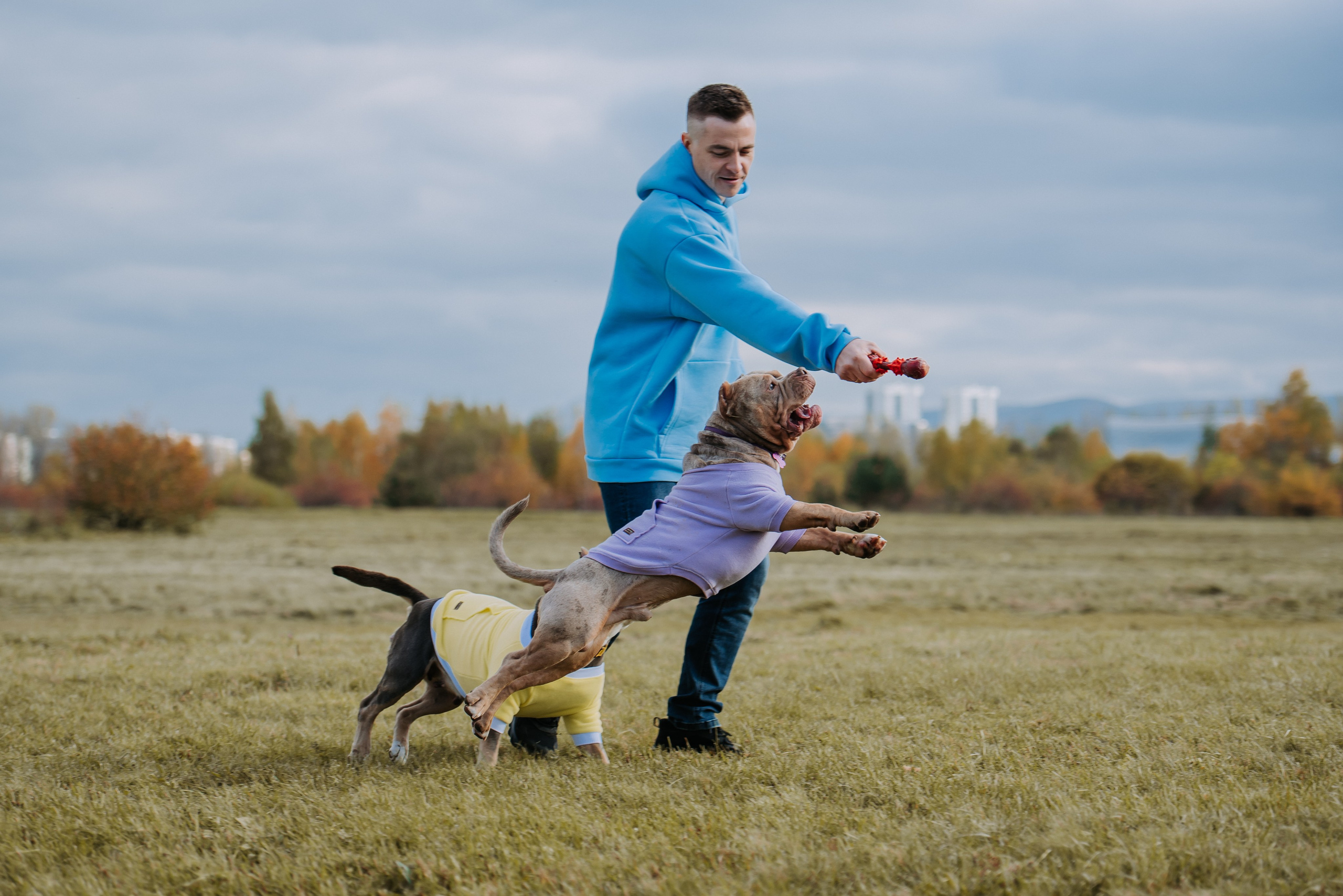 Фотопрогулка с питомцами. Фотограф Диана Оленина Красноярск / Братск