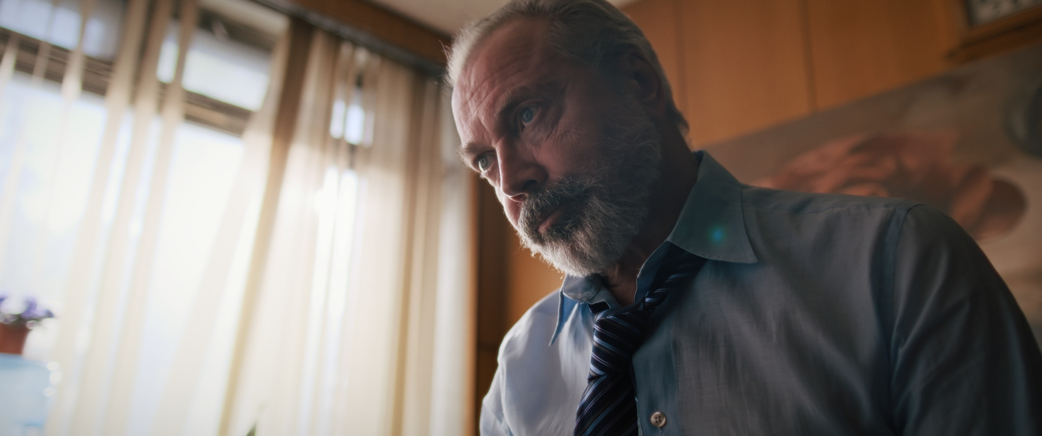 Boantrophy. NIKOLAY KUKSIN COLORIST