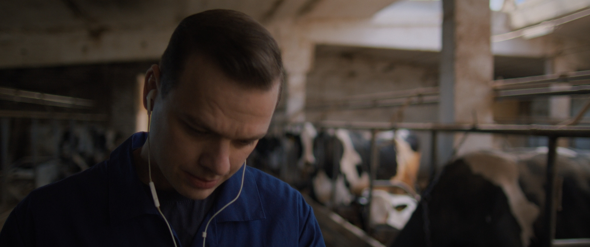 Boantrophy. NIKOLAY KUKSIN COLORIST