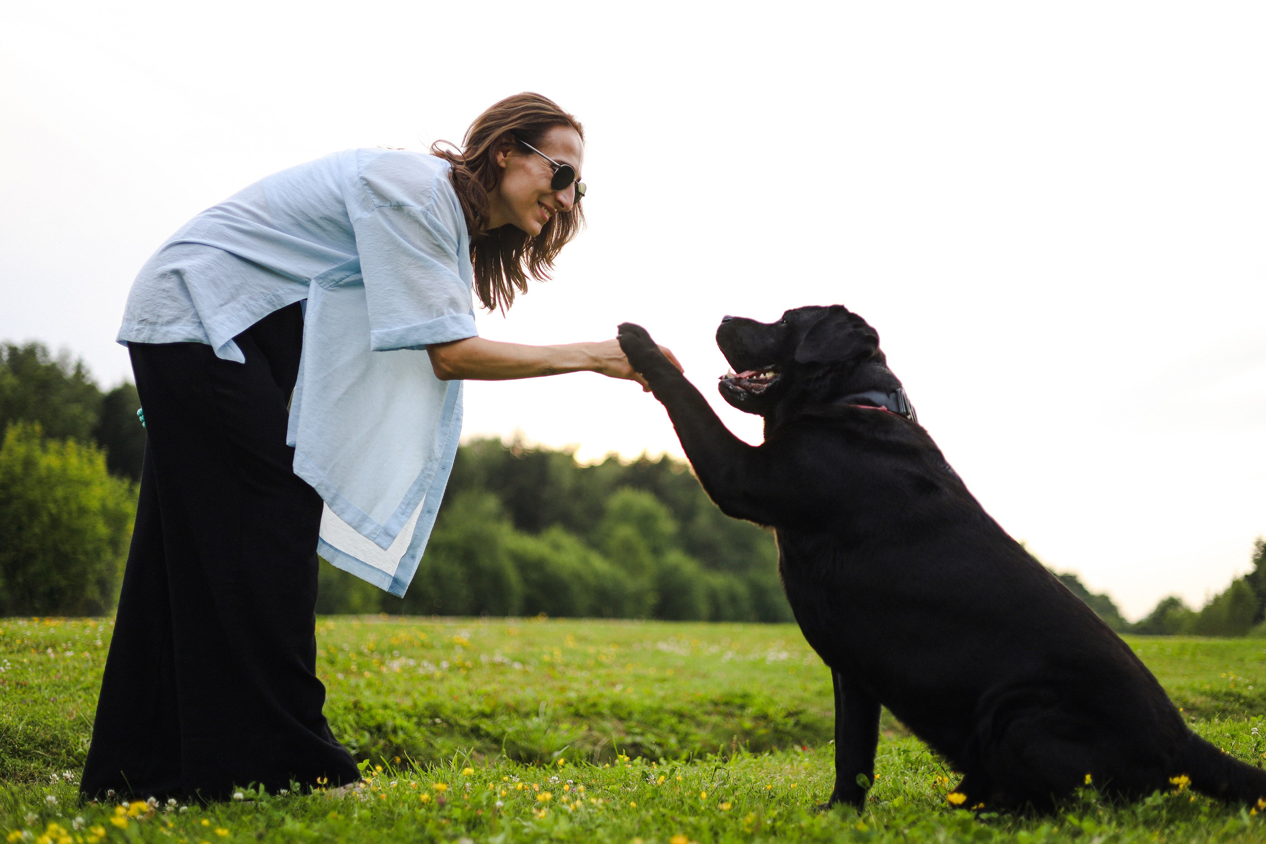 Найт и Соня. Фотограф-анималист Ксения Шевцова|Москва