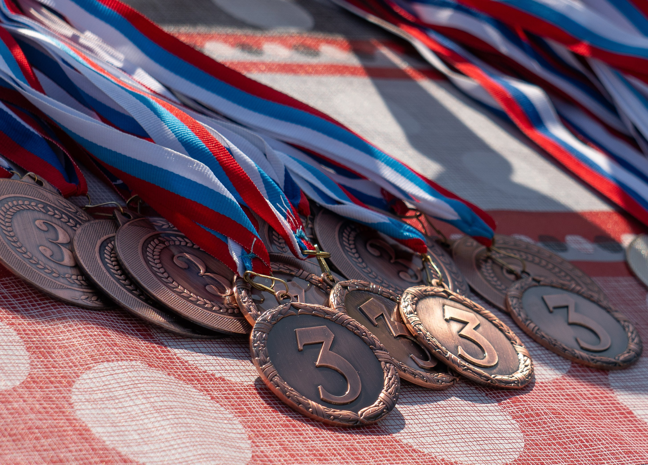 медали ждут своих обладателей, кубок дружбы регионов по конкуру в Луганске