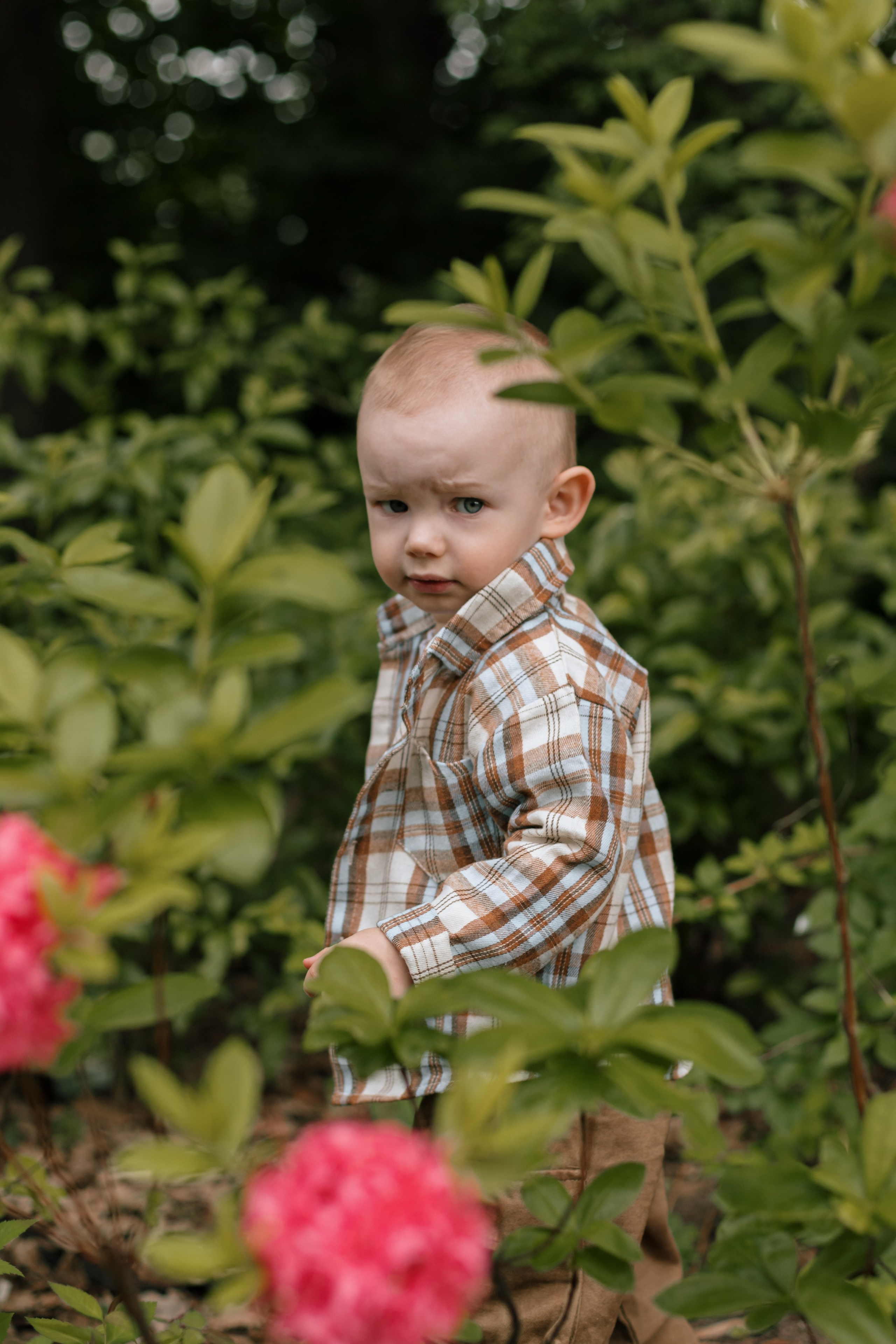 Лев МГУ. Семейный, свадебный, студийный фотограф в Москве Леонова Юлия