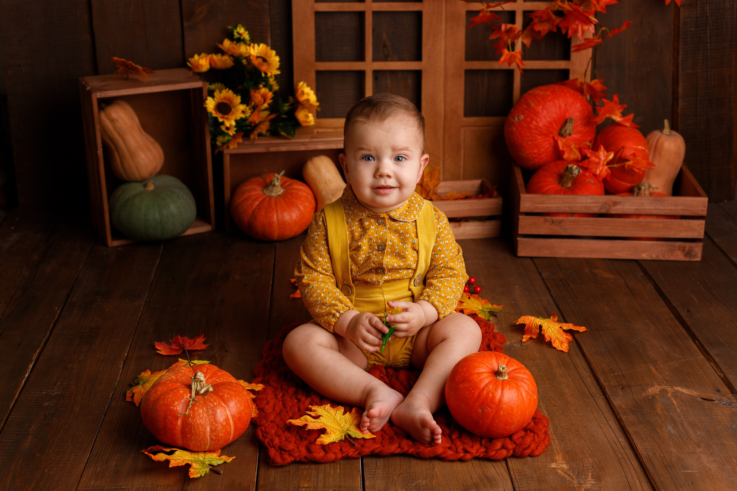 Осенний фотопроект. Фотограф новорожденных, детский фотограф в г. Оренбурге Екатерина Козлова