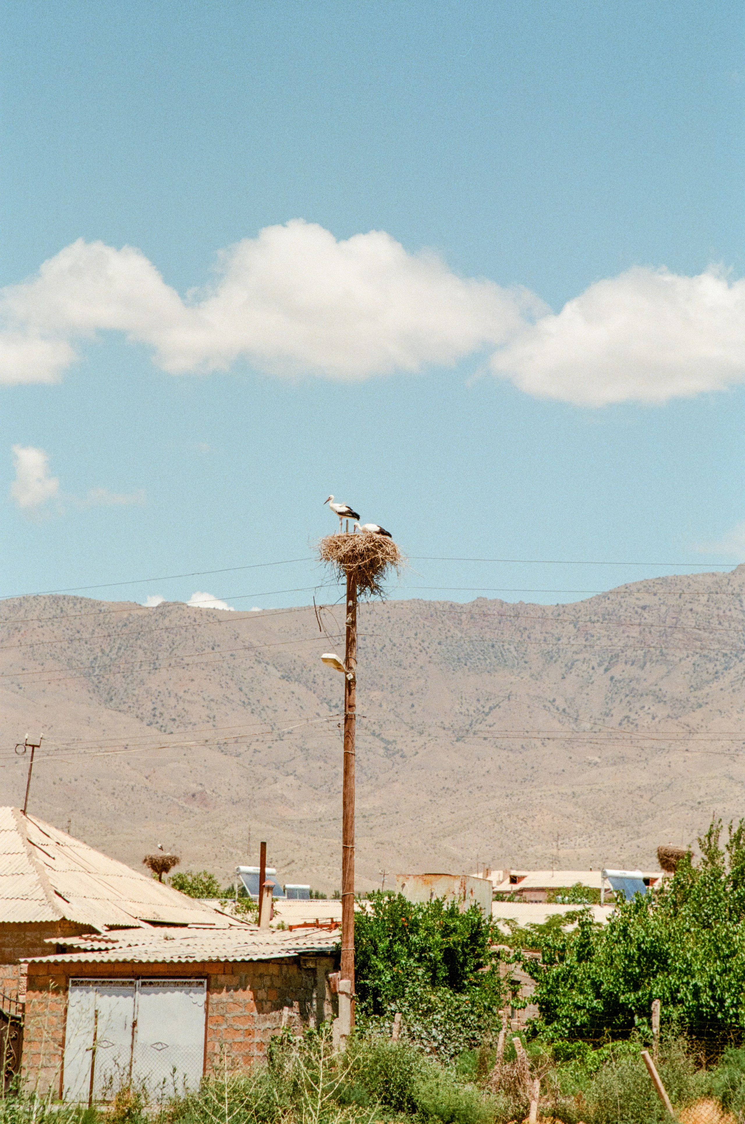 АРМЕНИЯ.24. Профессиональный фотограф Федотова Арина