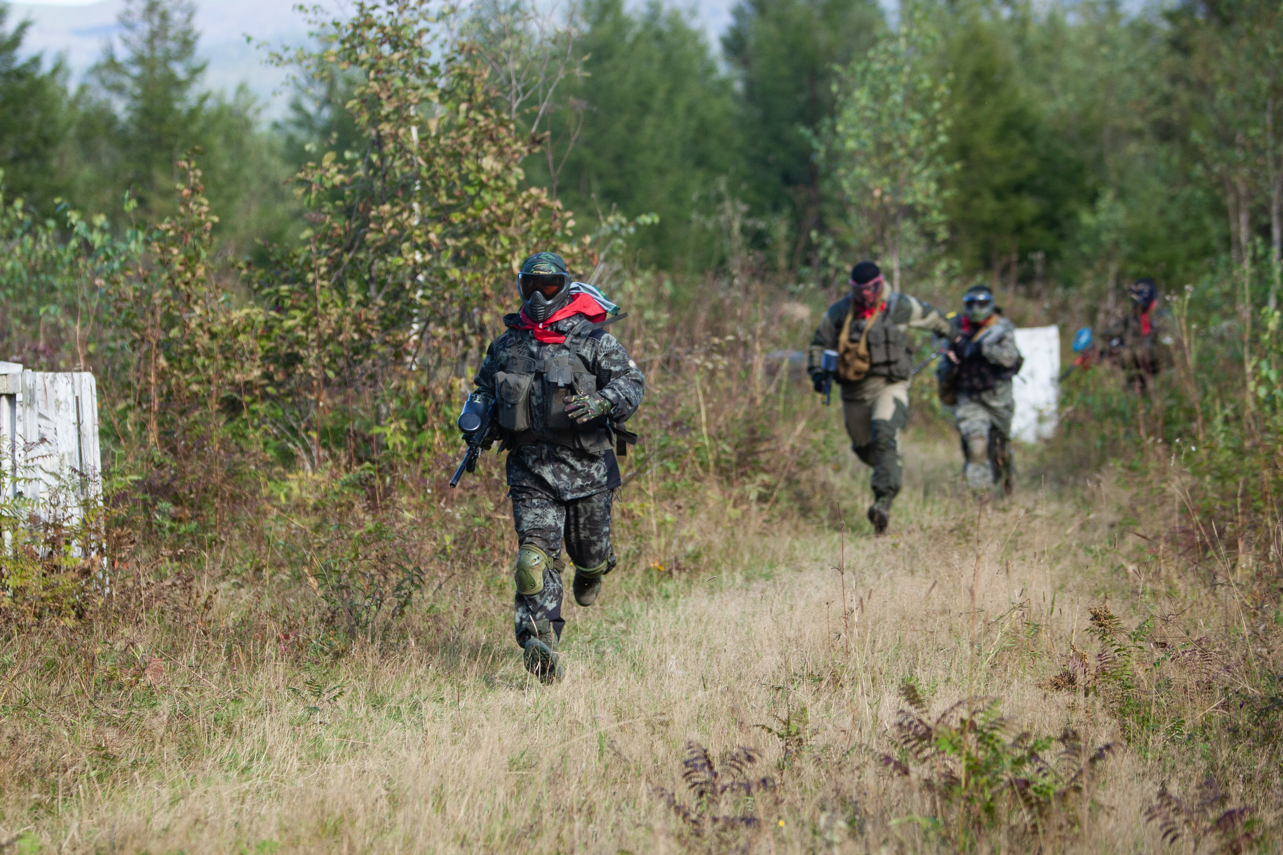 "Остров 2024". Кутузов Евгений Фотограф в Южно-Сахалинске