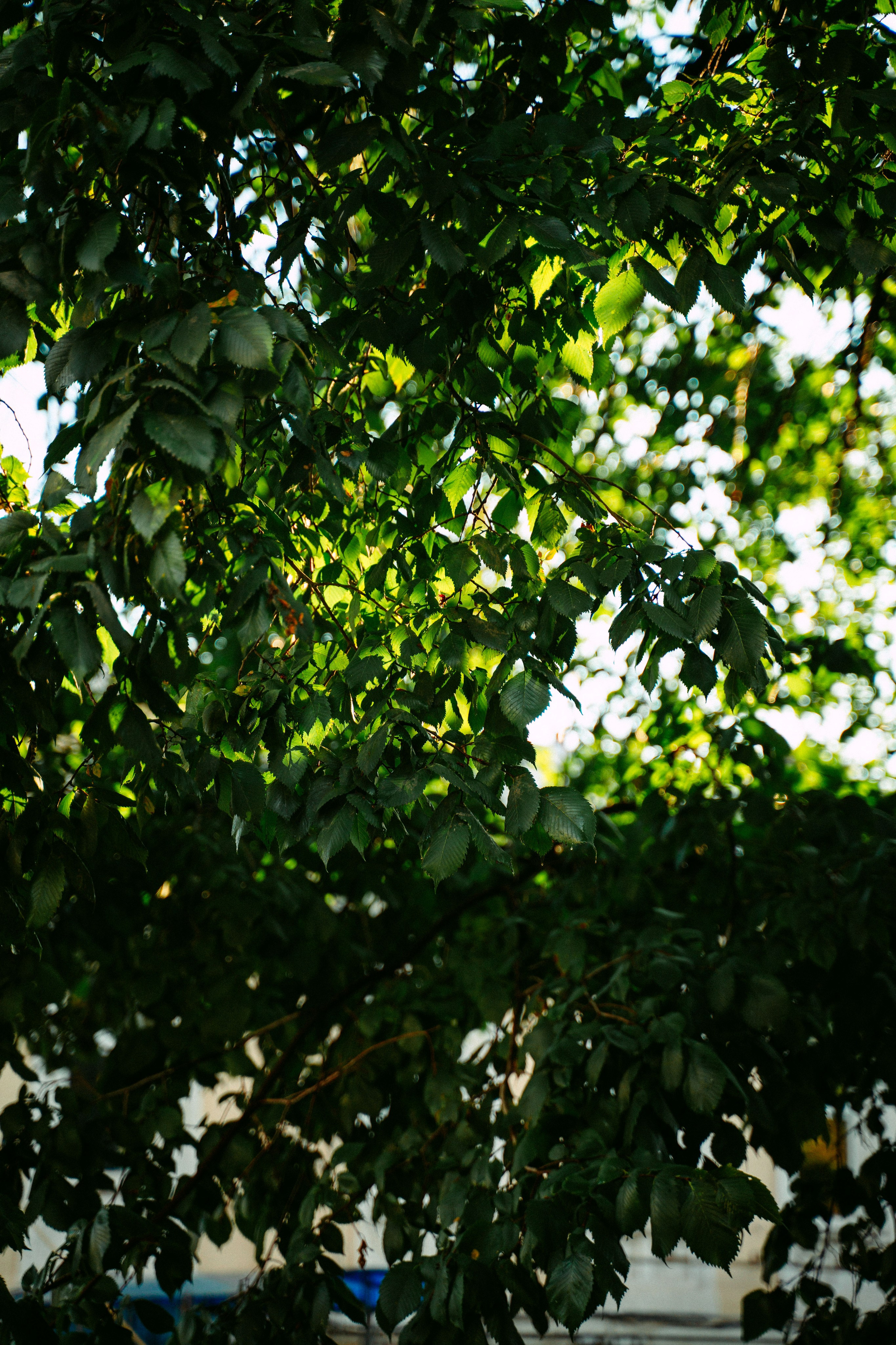 Дай Посмотрю. Экскурсия по Профсоюзной / 2023. Саша Копылов, фотограф в Казани