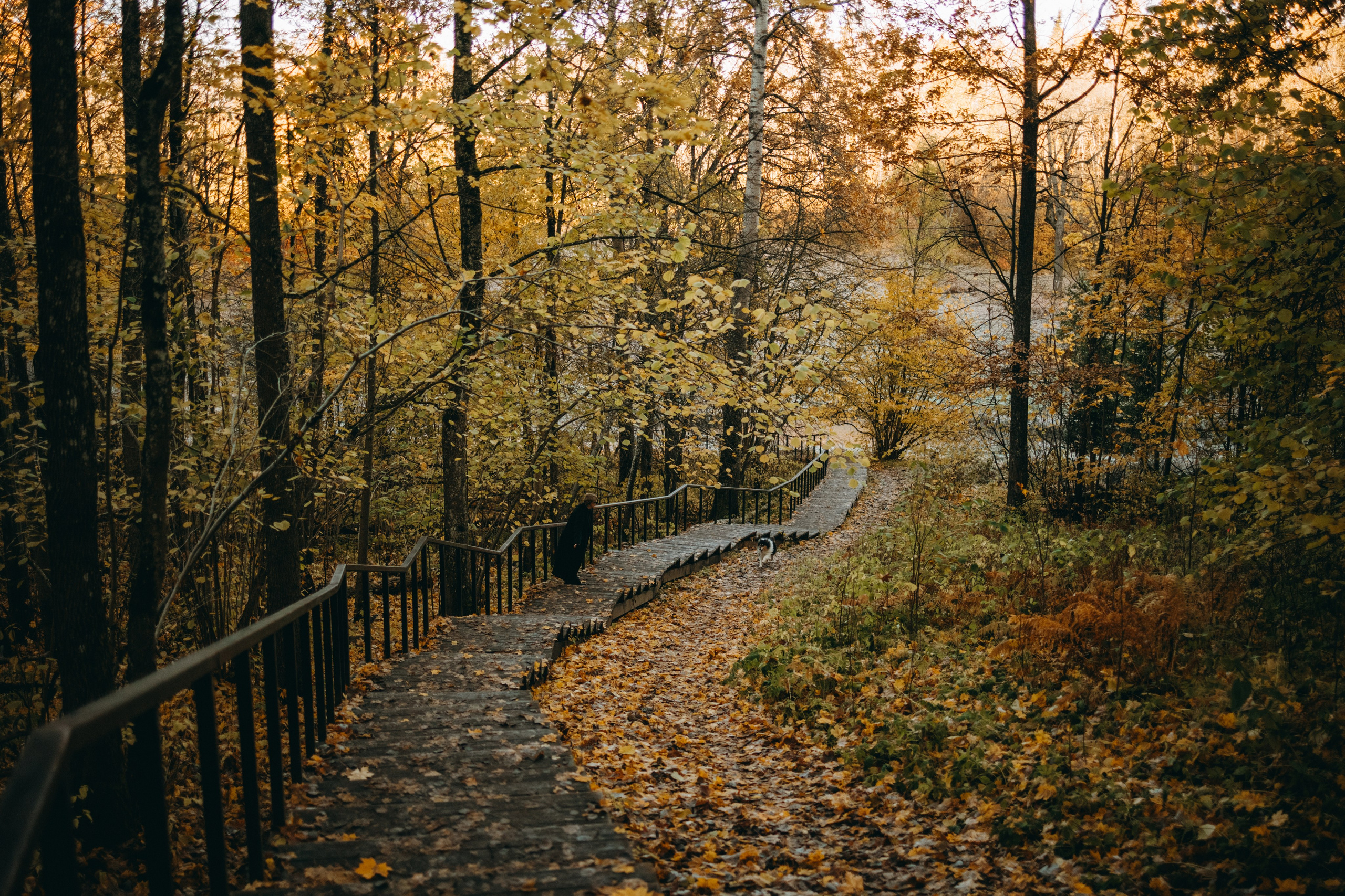 Ия и Барт. Фотограф — Анималист | Санкт-Петербург