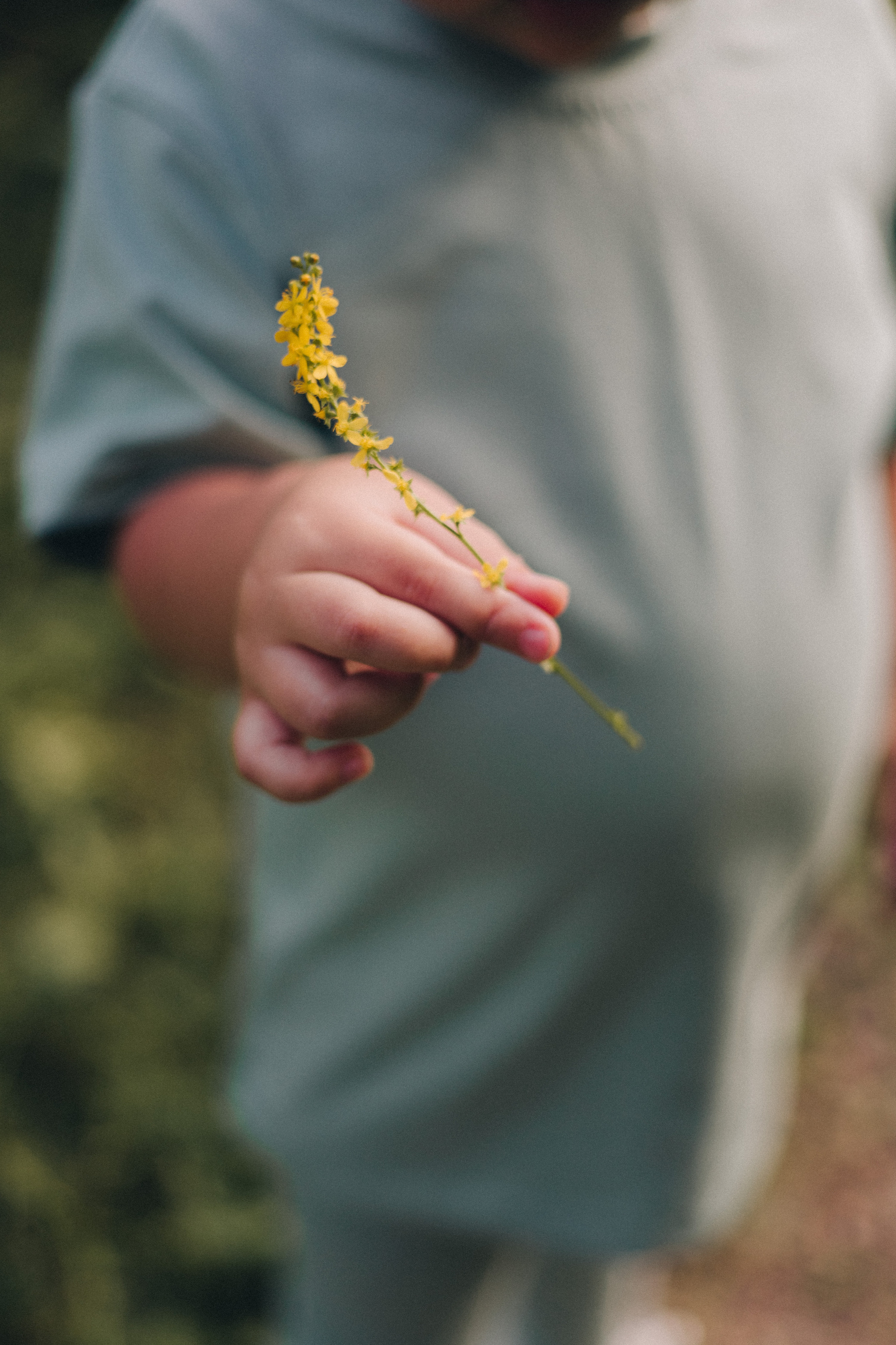 Детский фотограф биробиджан. Детский и семейный фотограф  Биробиджан Оля Светагор