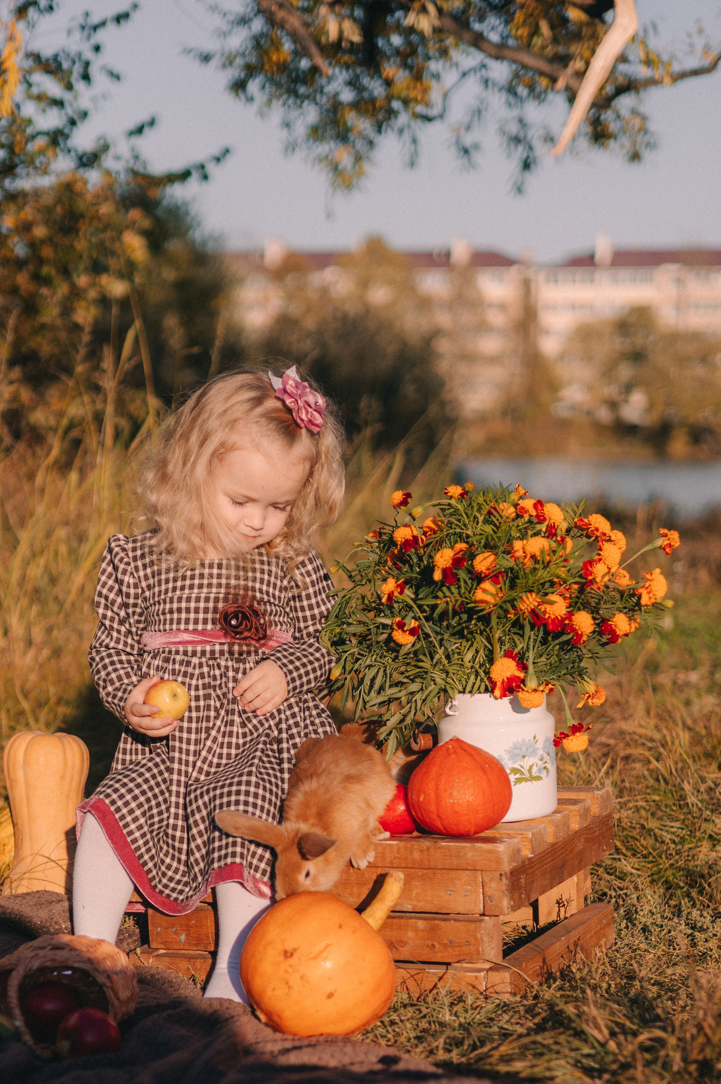 Детский семейный фотограф. Детский и семейный фотограф  Биробиджан Оля Светагор