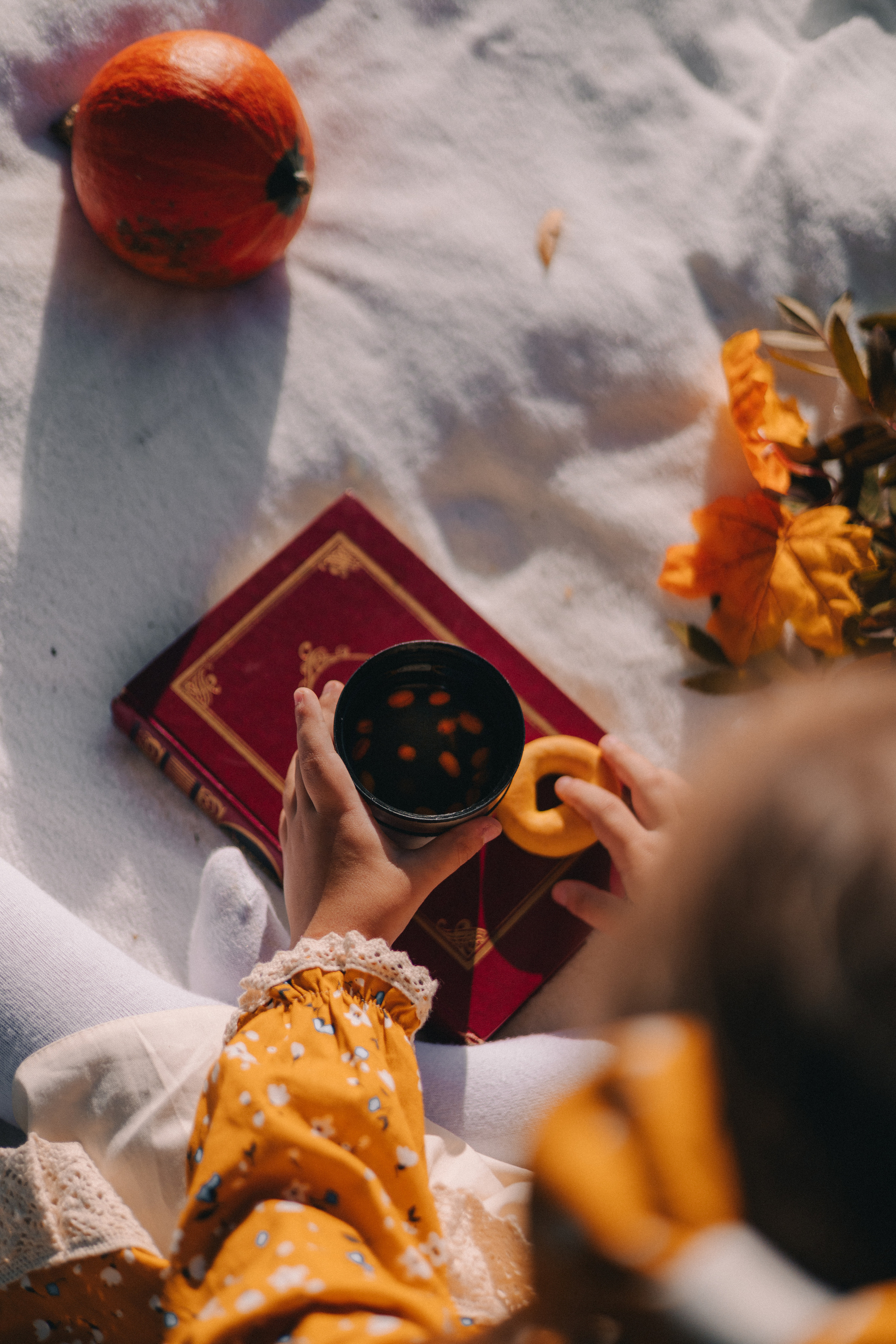 Детский семейный фотограф. Детский и семейный фотограф  Биробиджан Оля Светагор