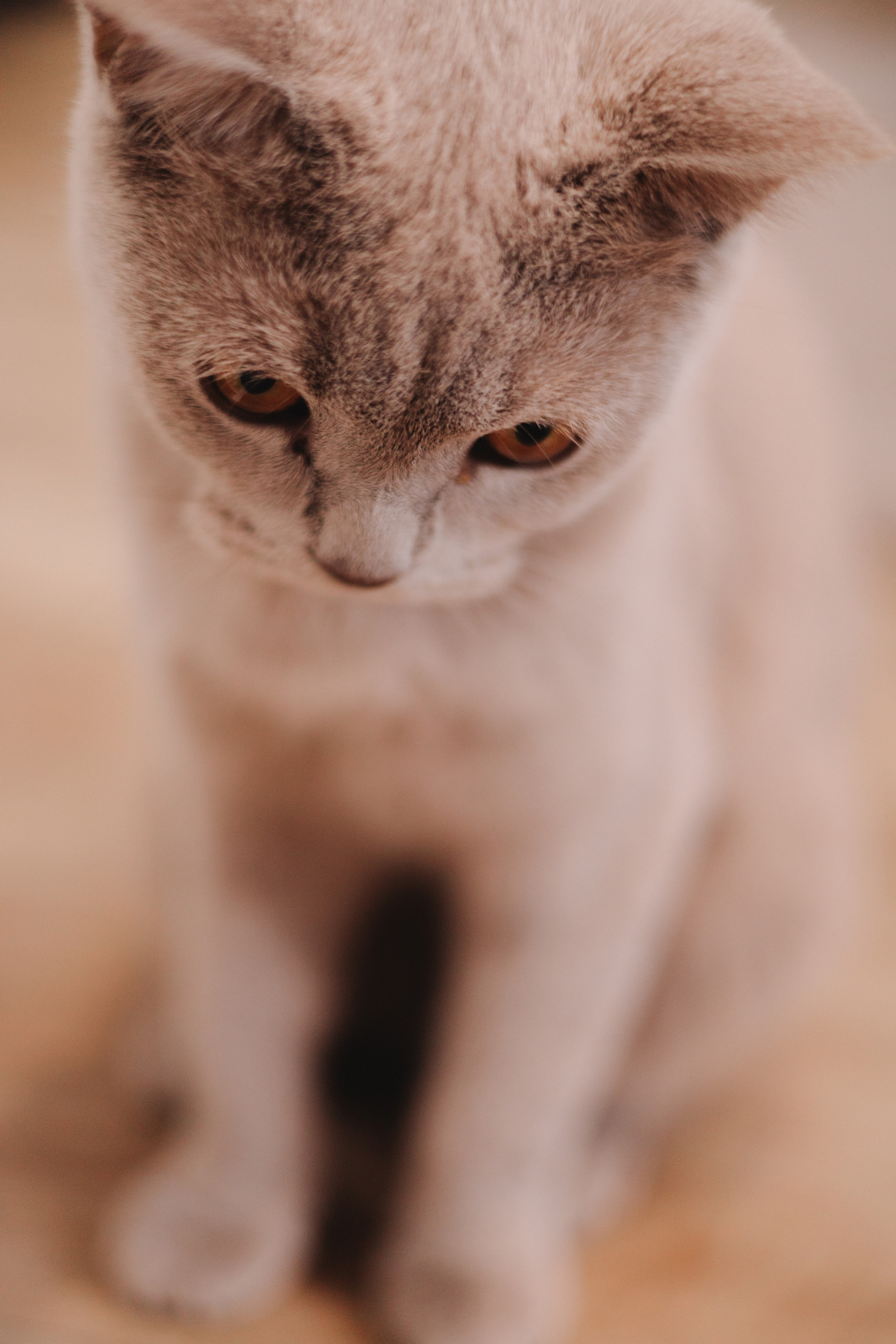 🤍. Детский и семейный фотограф  Биробиджан Оля Светагор