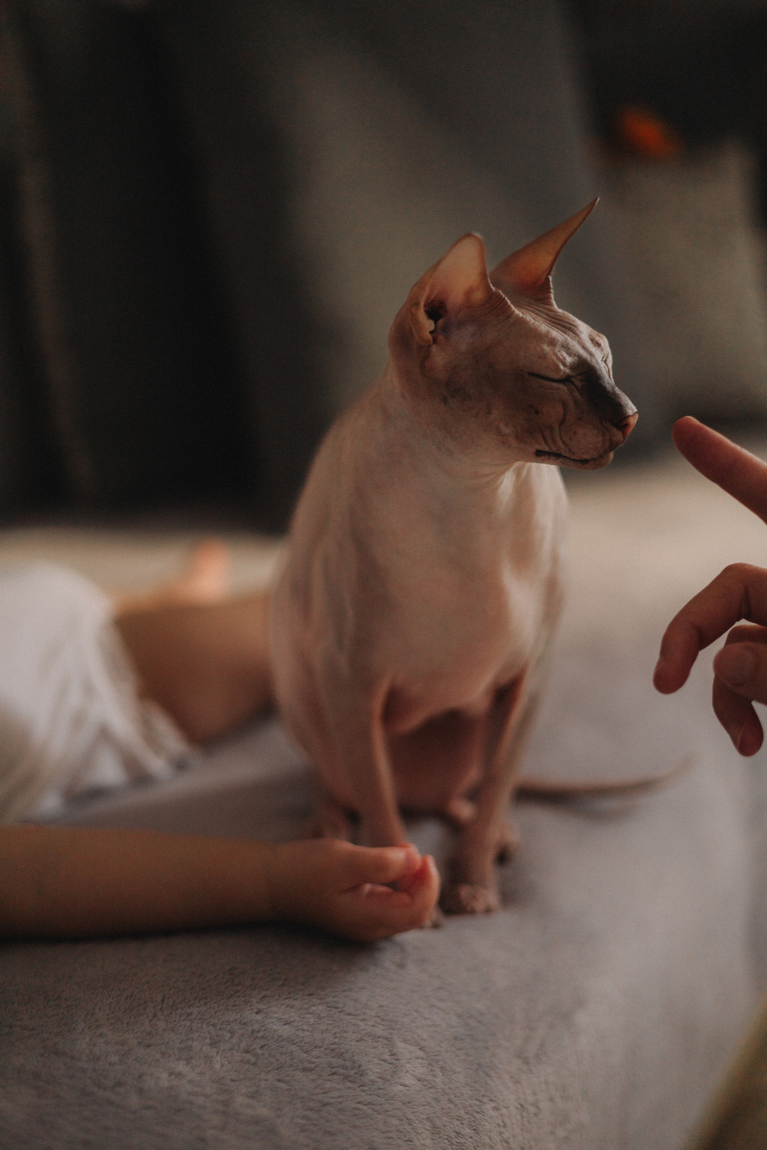 Фотограф. Детский и семейный фотограф  Биробиджан Оля Светагор