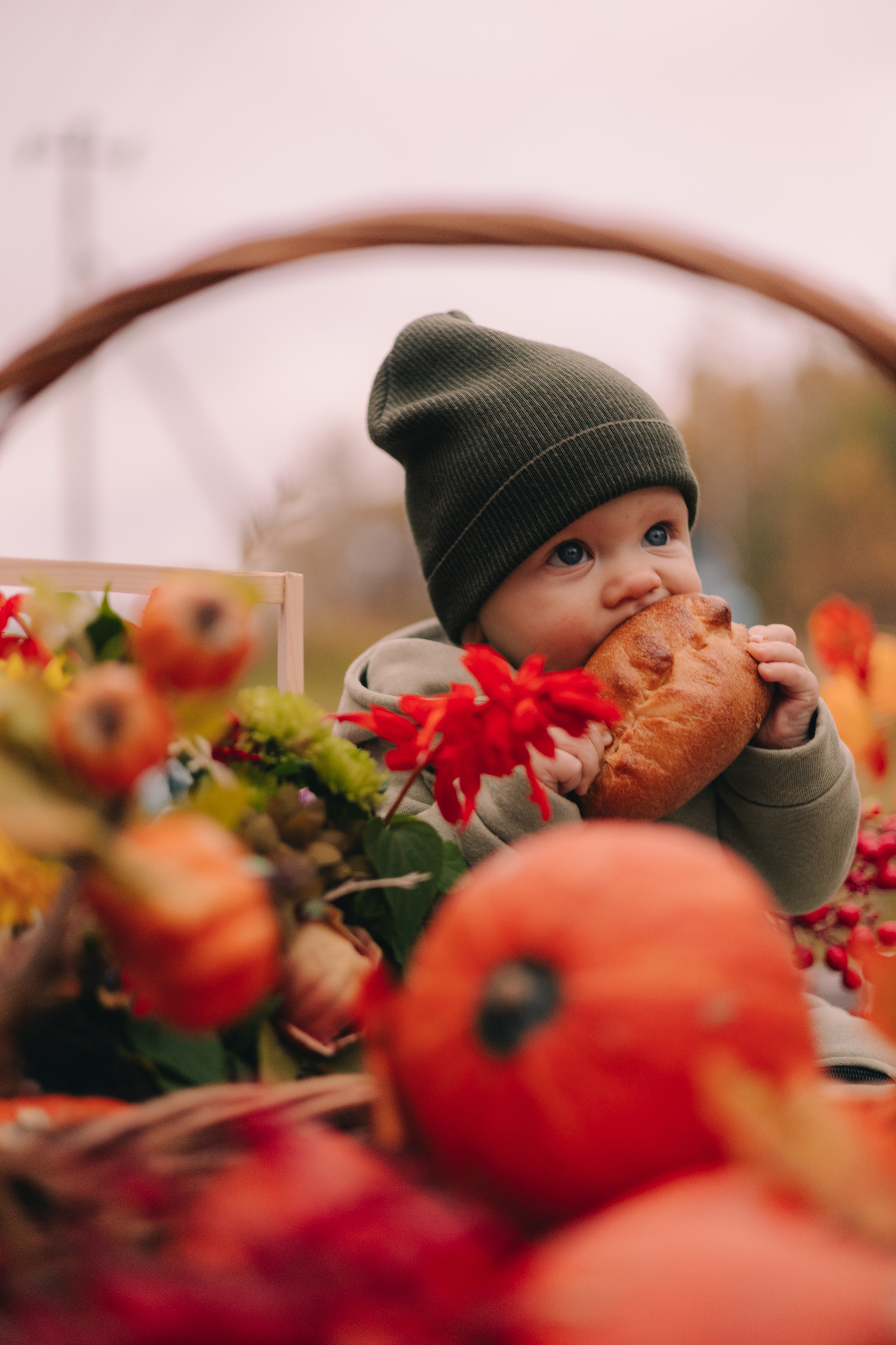 Детский семейный фотограф. Детский и семейный фотограф  Биробиджан Оля Светагор