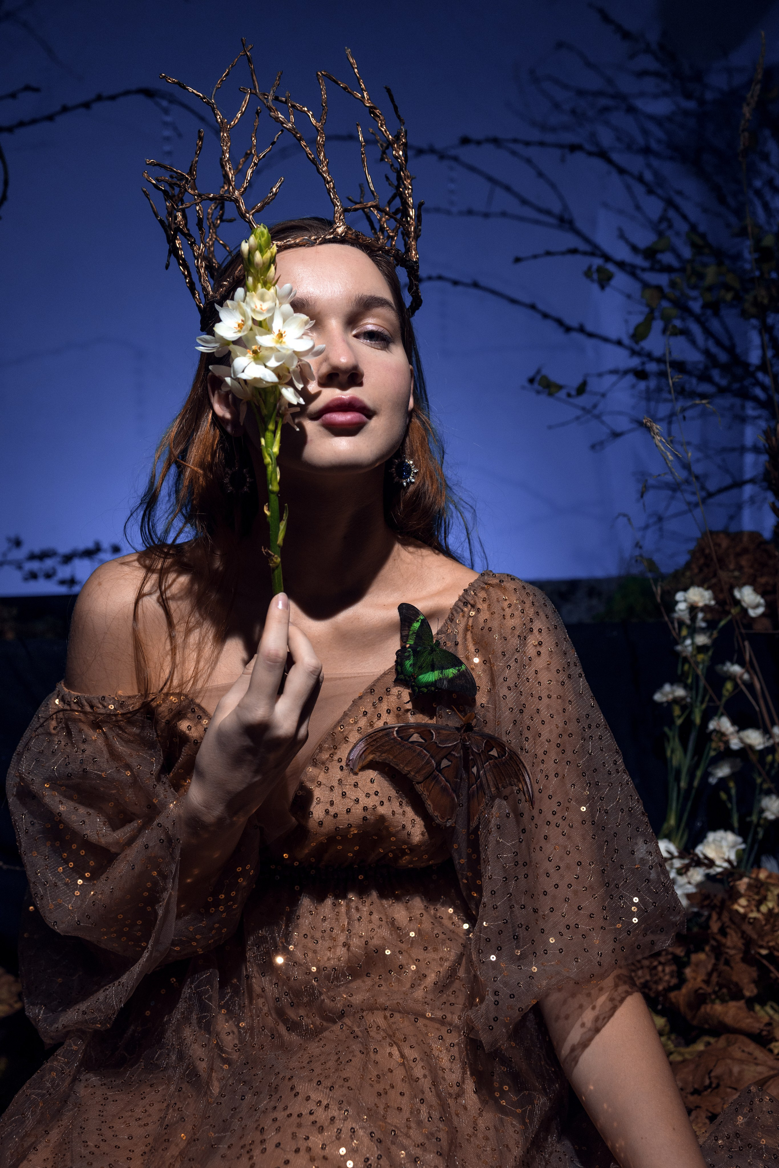 Фейский Альбом