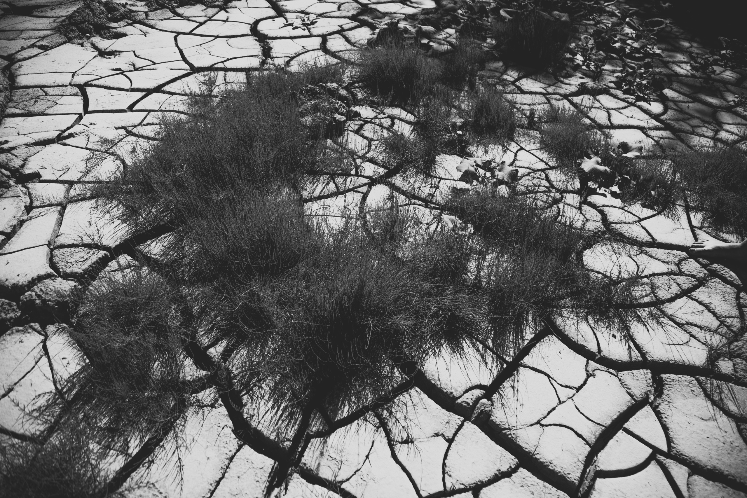 Пески времени. Фотография и видеосъёмка