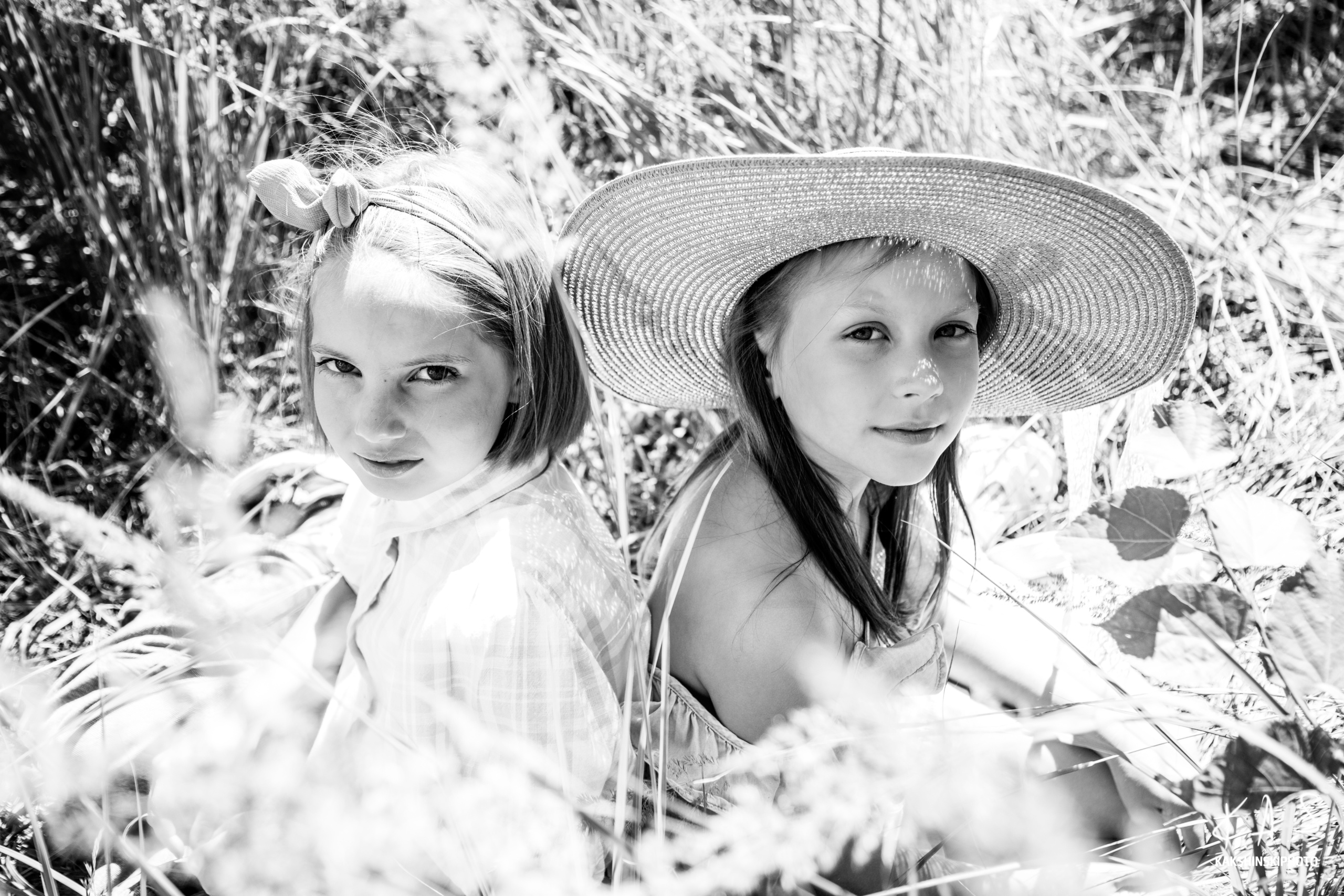 Лесная сказка. Фотография и видеосъёмка