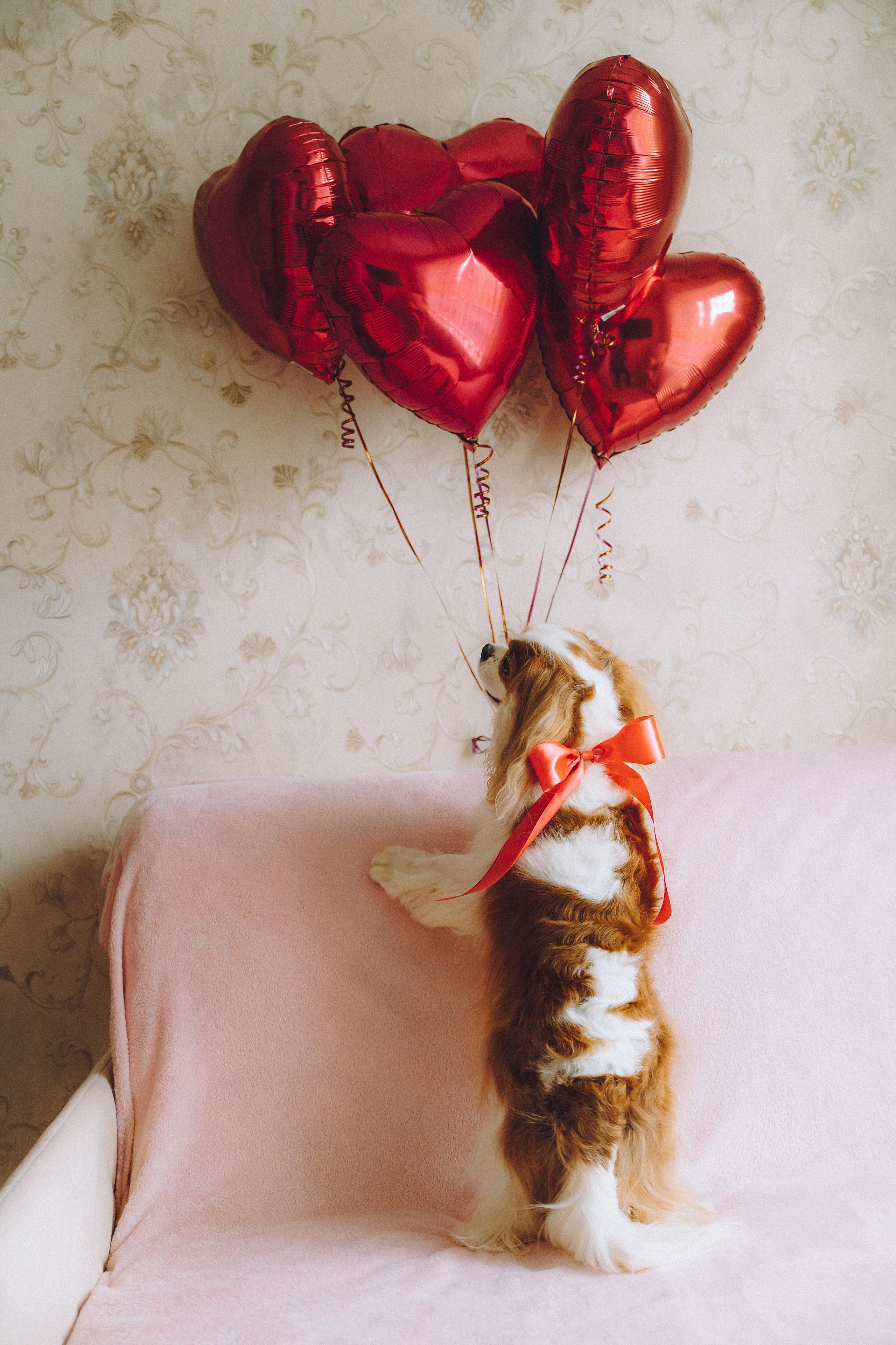 Наташа и Вики