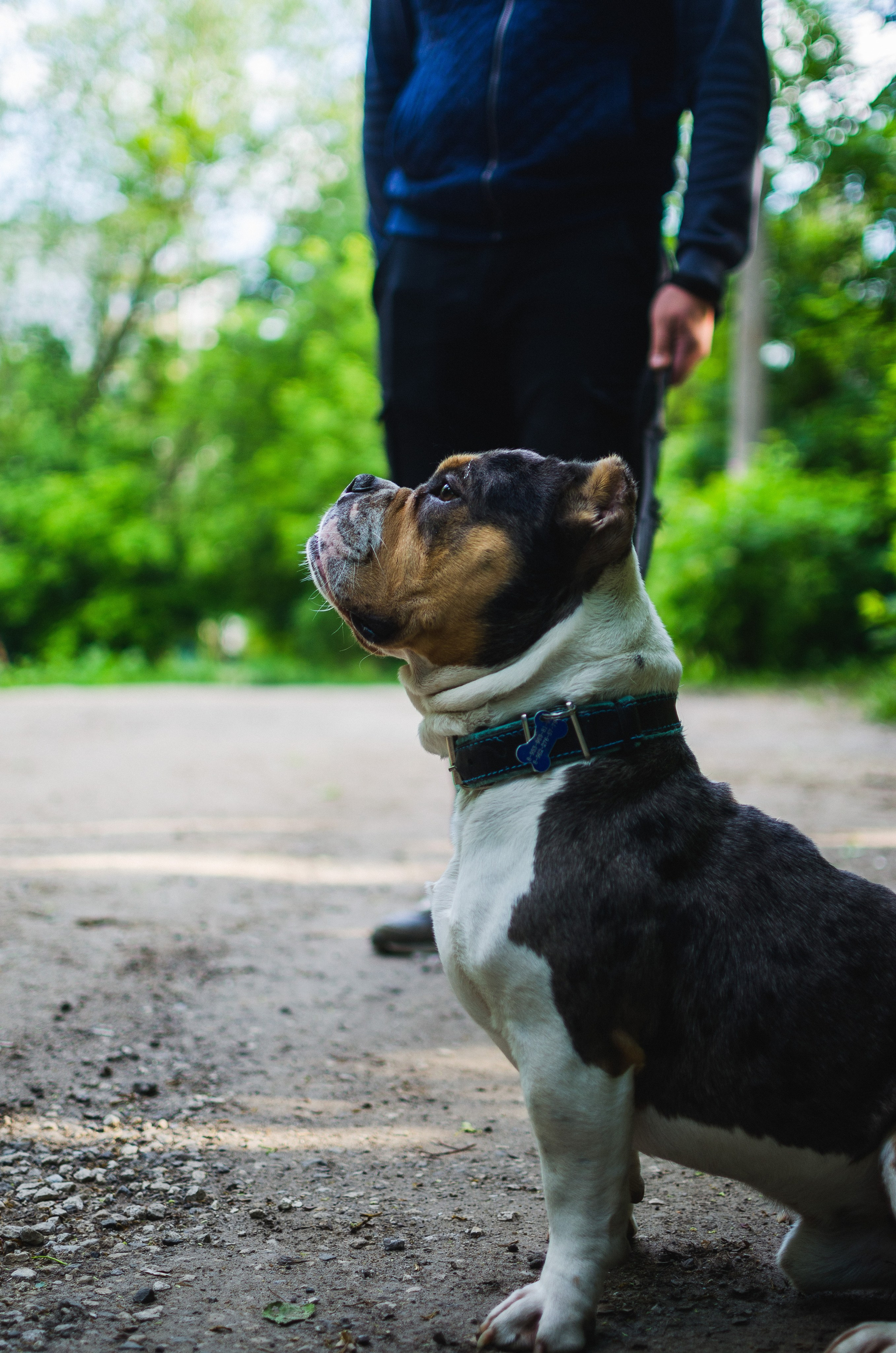Семейные фотосессии. Свадебный и концертный фотограф в Туле