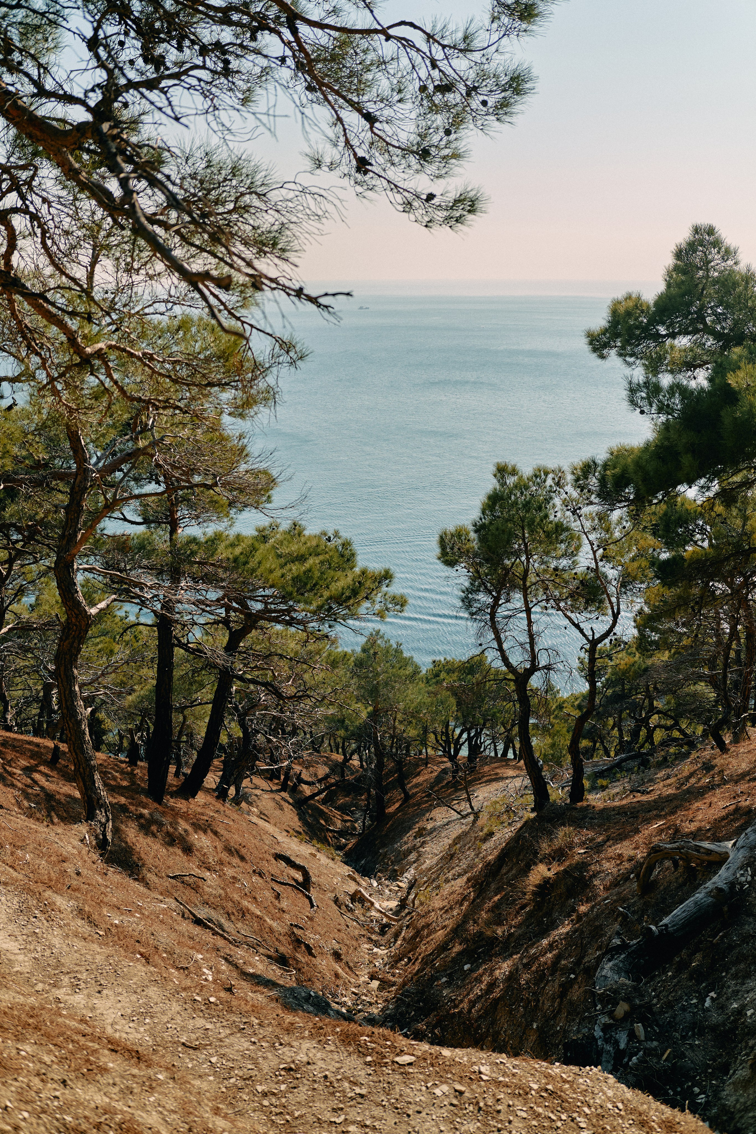 Юг России. Профессиональный Фотограф во Владимире, в Москве и в Суздале — Полина Романычева