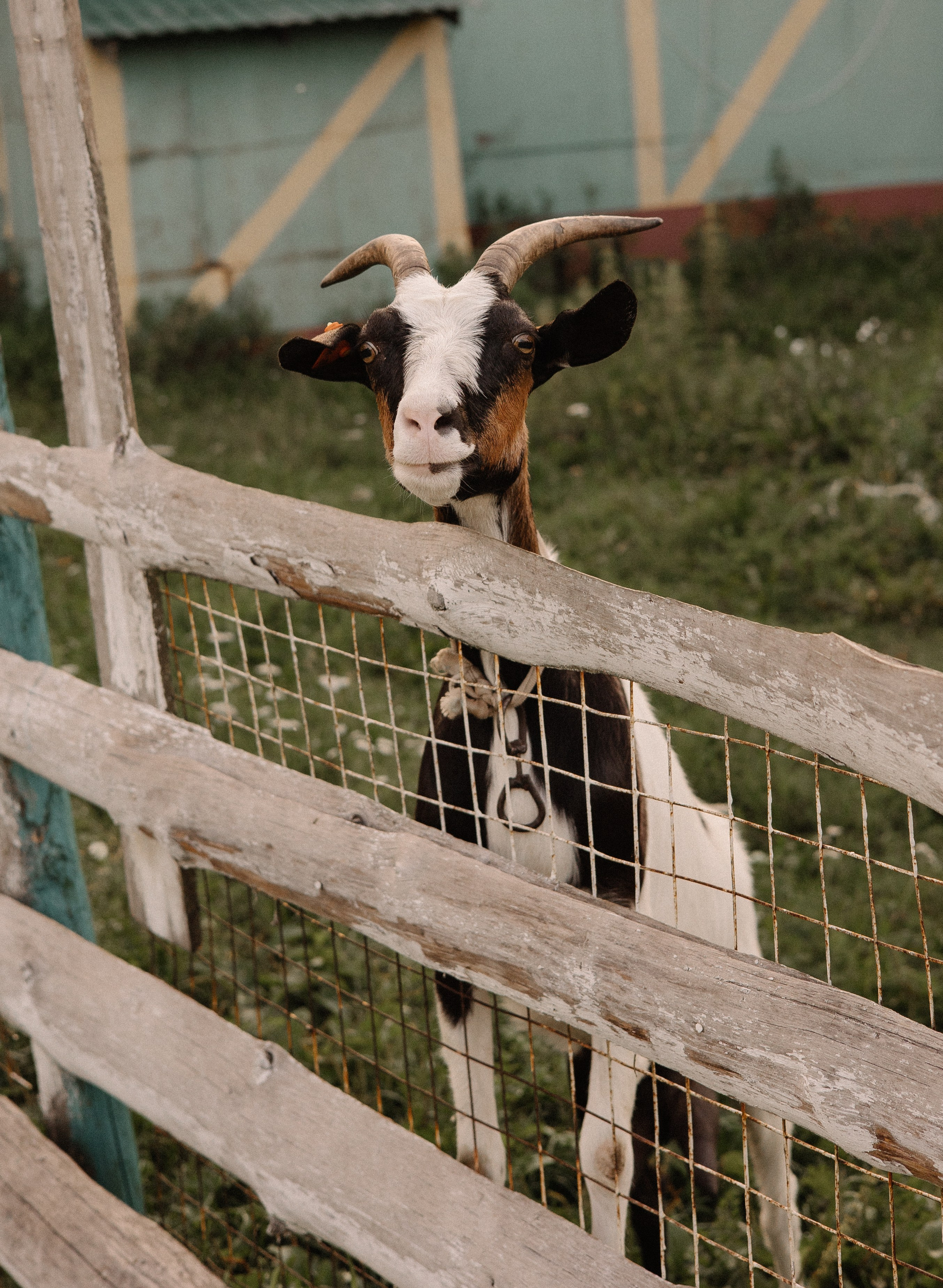 Мама и дочка. Семейный фотограф Александра Тарасова