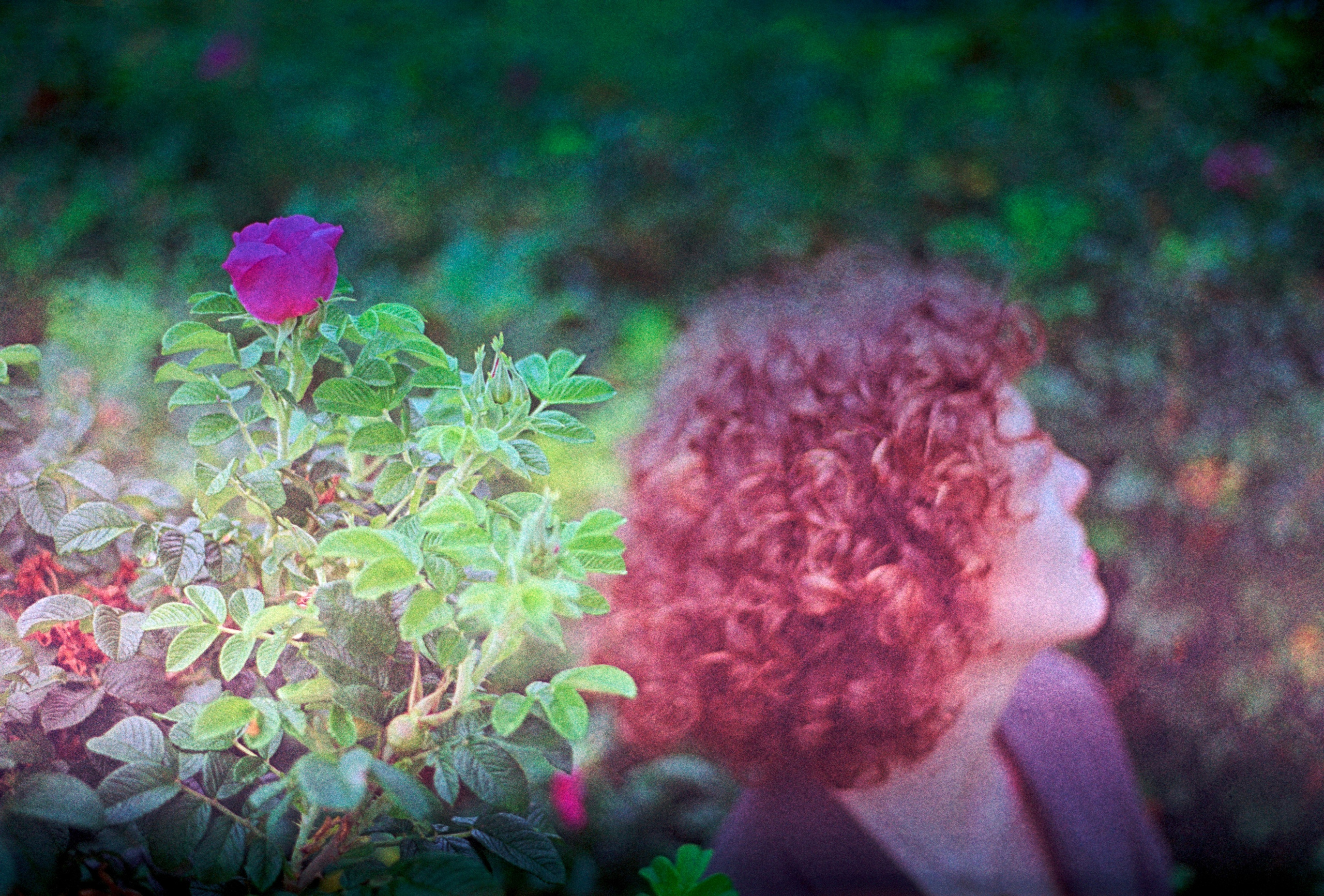 N. Стилист и плёночный фотограф Анастасия Шлокова в Санкт-Петербурге и Москве