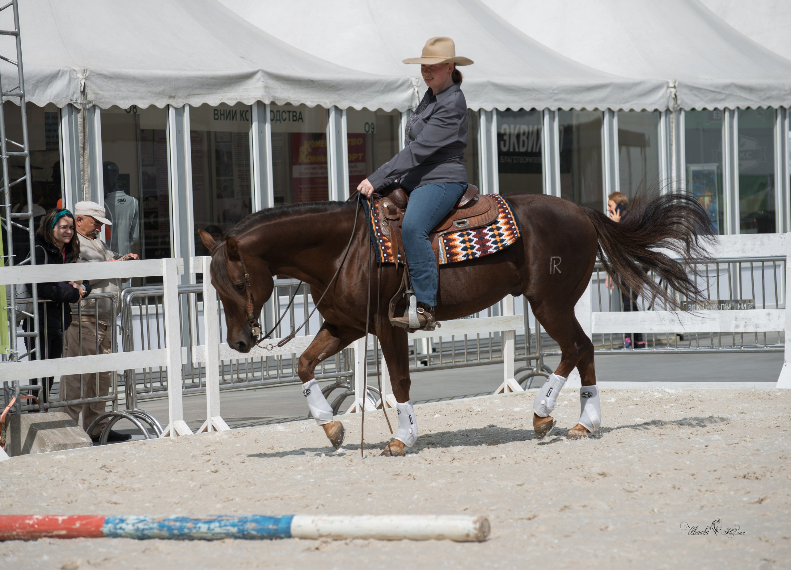 Эквирос, Москва. Конный фотограф в Саратове Юлия Иванова