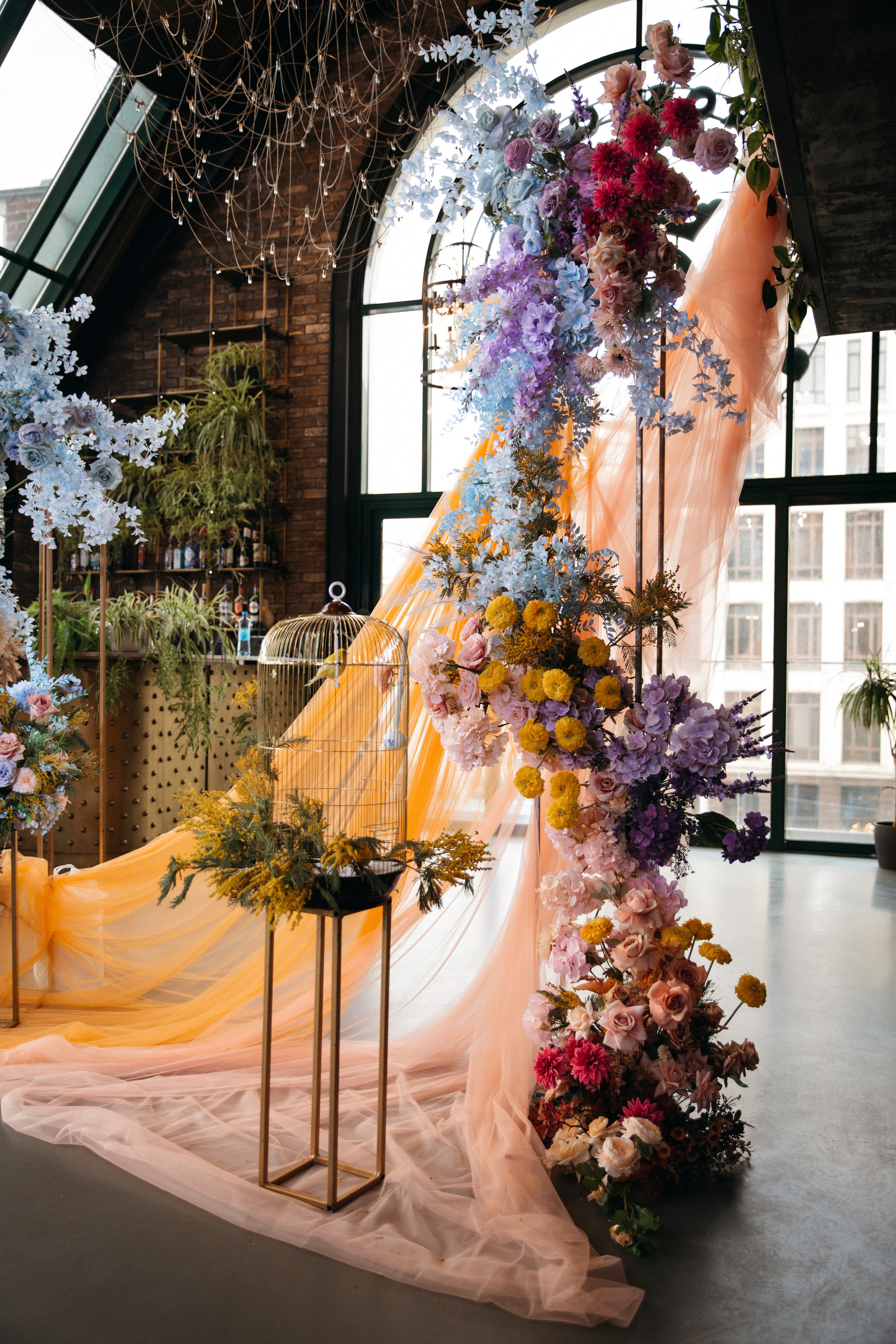 София и Лука. Nikolpinhasova