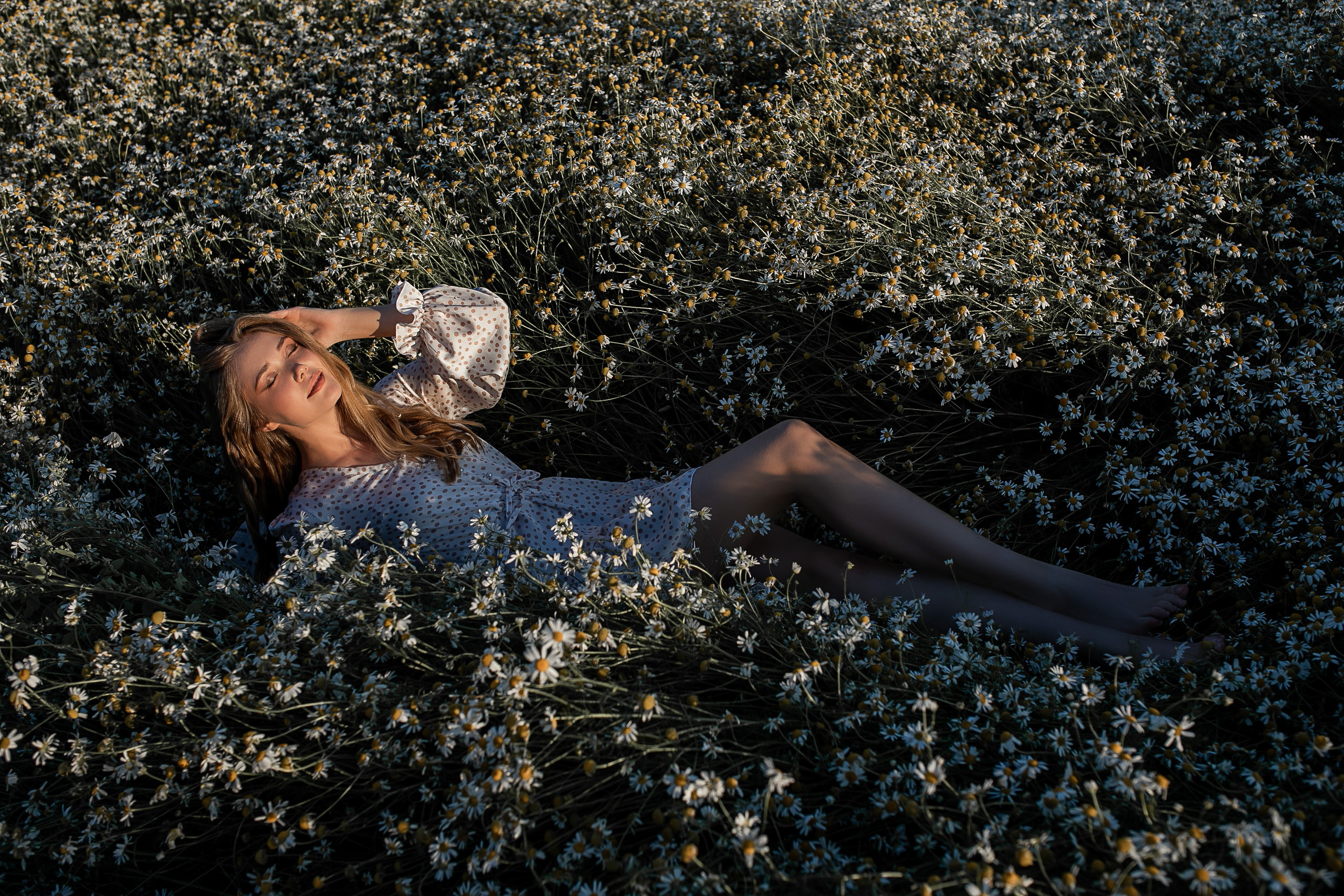 Алена. Фотодень в ромашках. Свадебный и семейный фотограф в Колпино и СПб Юлия Папанова