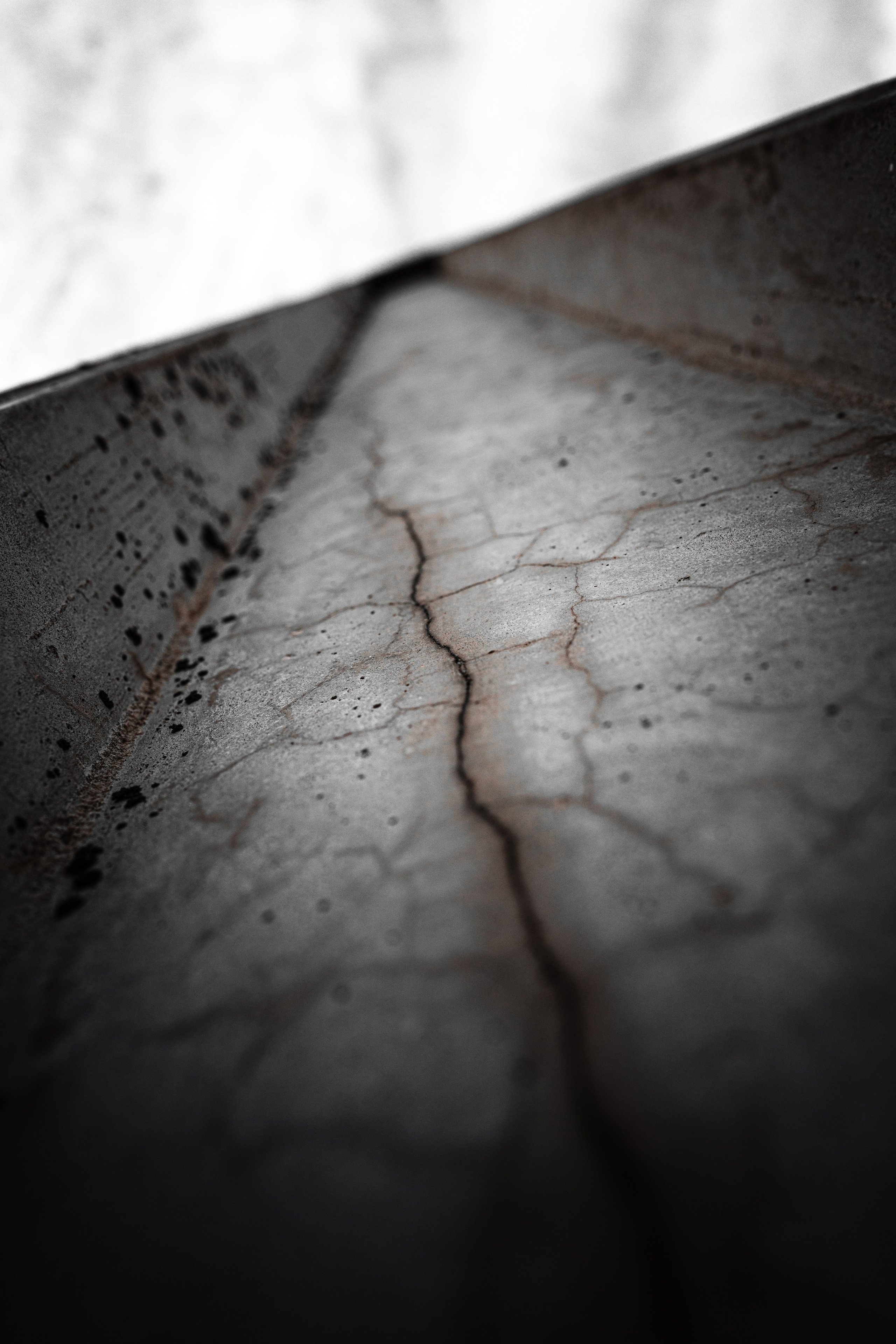 Street. Фотограф в Санкт-Петербурге Шевцов Андрей