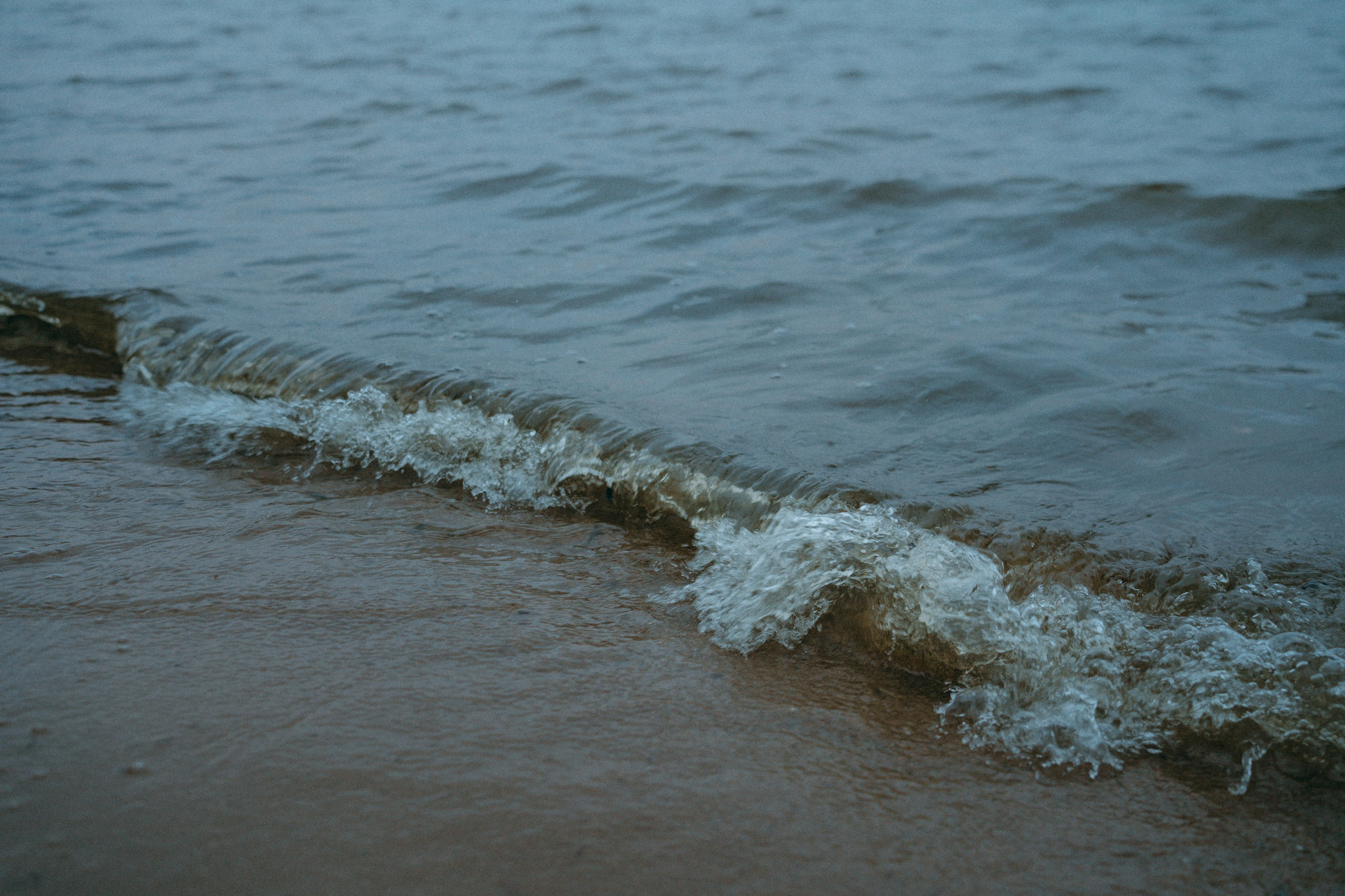 Наташа и Сириус. Фотограф анималист в Москве и Санкт-Петербурге Свиридова Анна