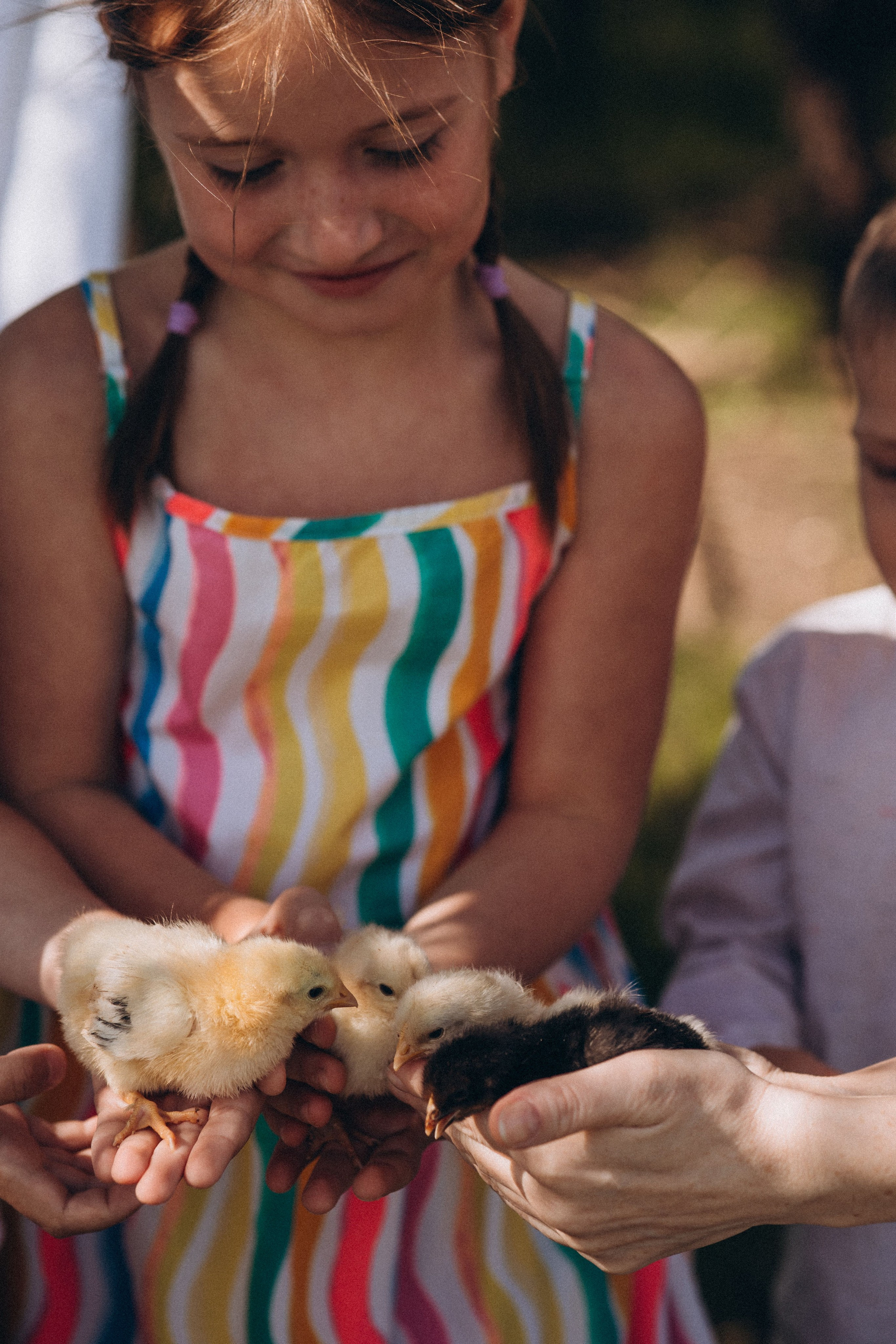 Алена. Семейный фотограф Нижневартовск Тюмень Ефимова Ирина