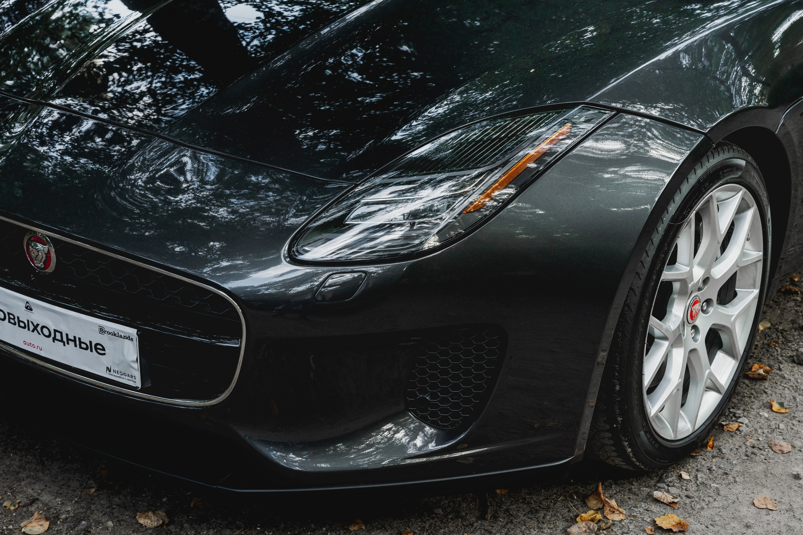 Автокультура. Архангельское. Станислав Тюрин Фотограф Москва. Индивидуальные и семейные фотосессии;