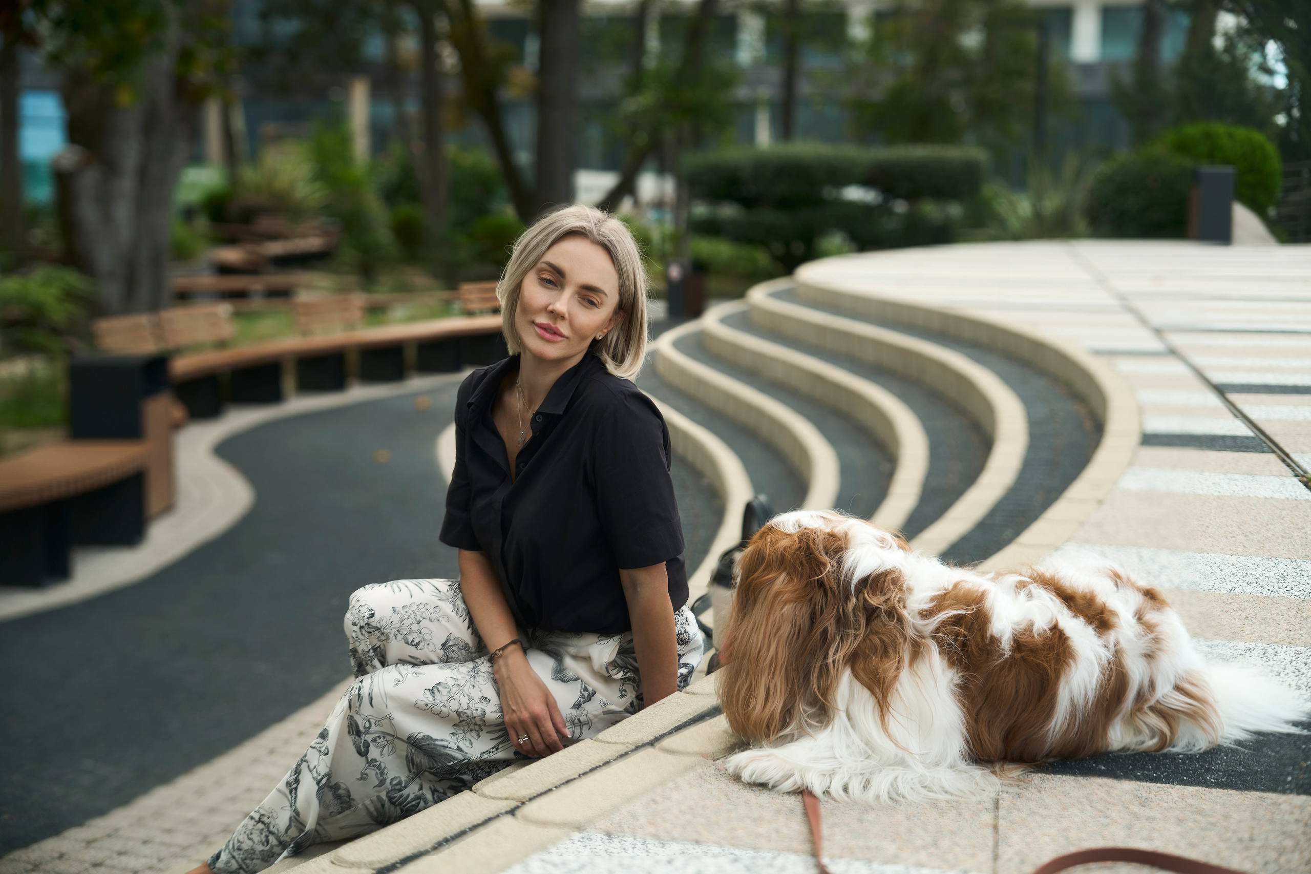 Собаки и люди