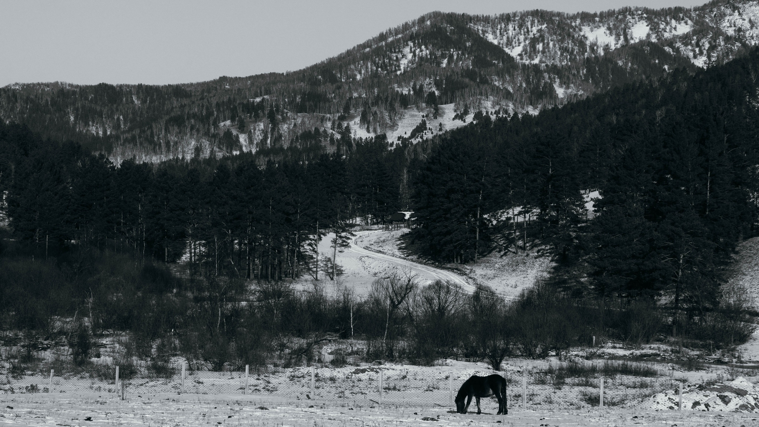 Путешествия. Anastasiia Kron