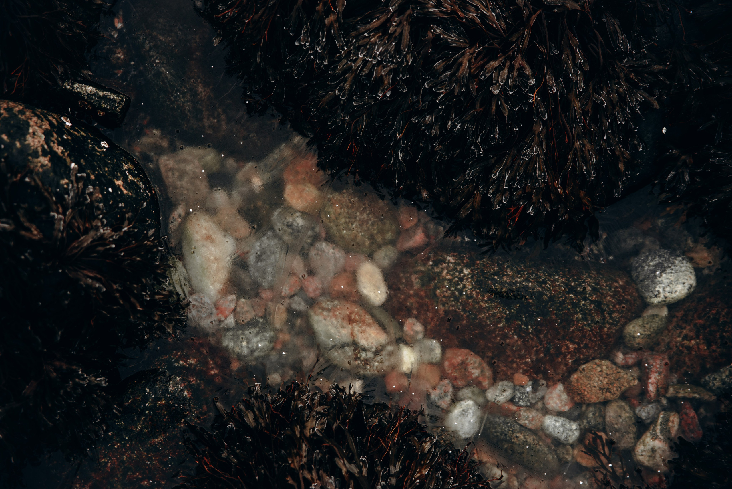 Териберка, Мурманск, Россия 🇷🇺. Anita_photo