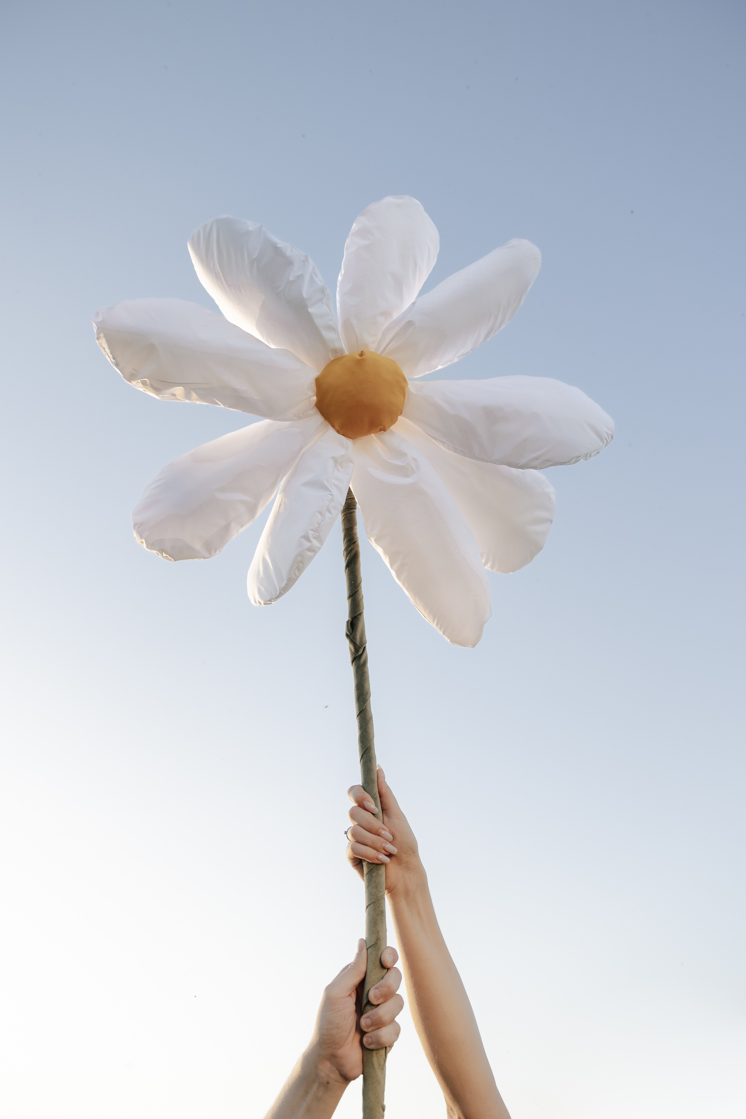 Ромашки. Свадебный фотограф Воронеж Москва СПБ