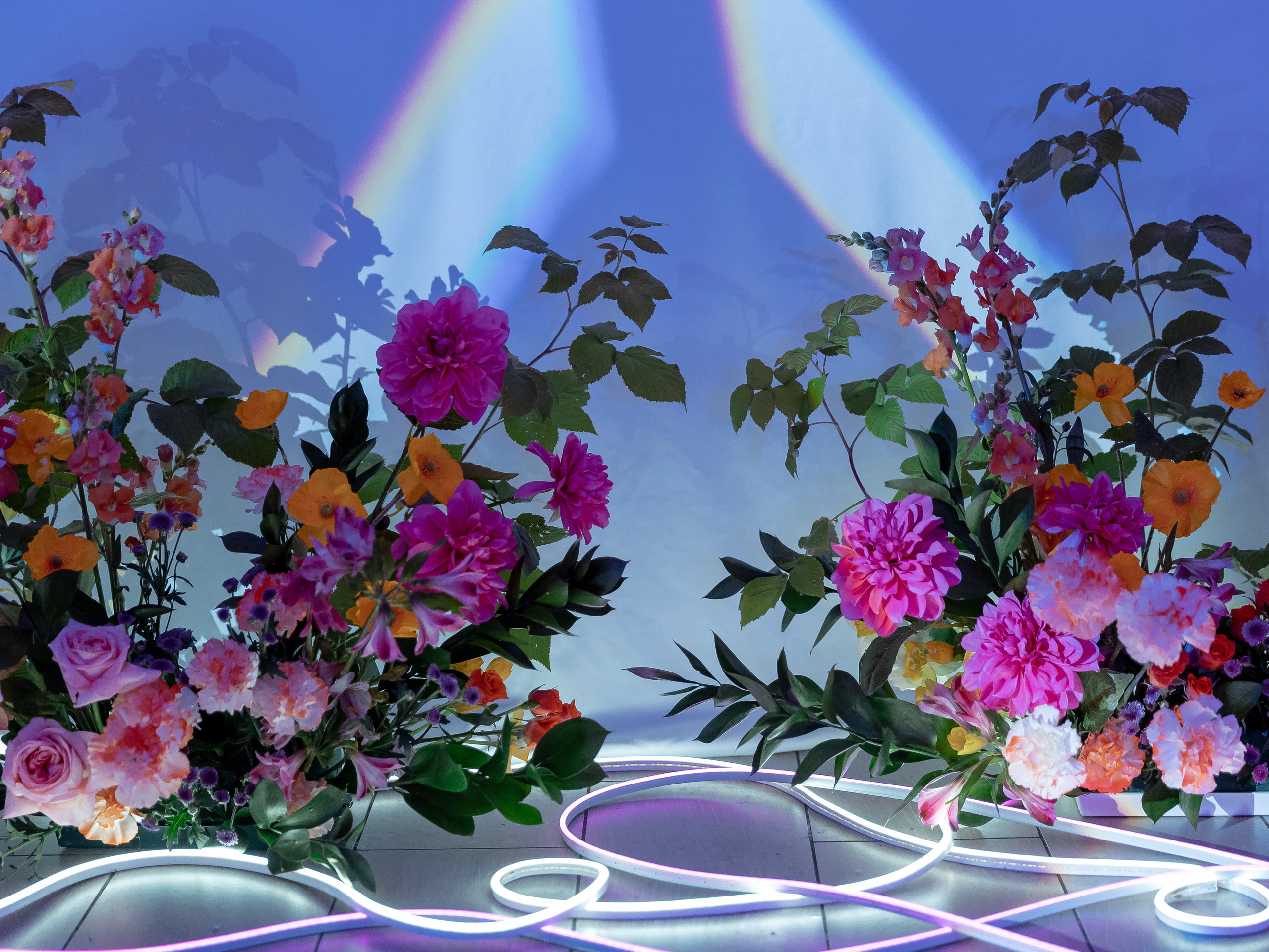 Wedding day Денис & Наталья. Свадебный фотограф Колесников Антон