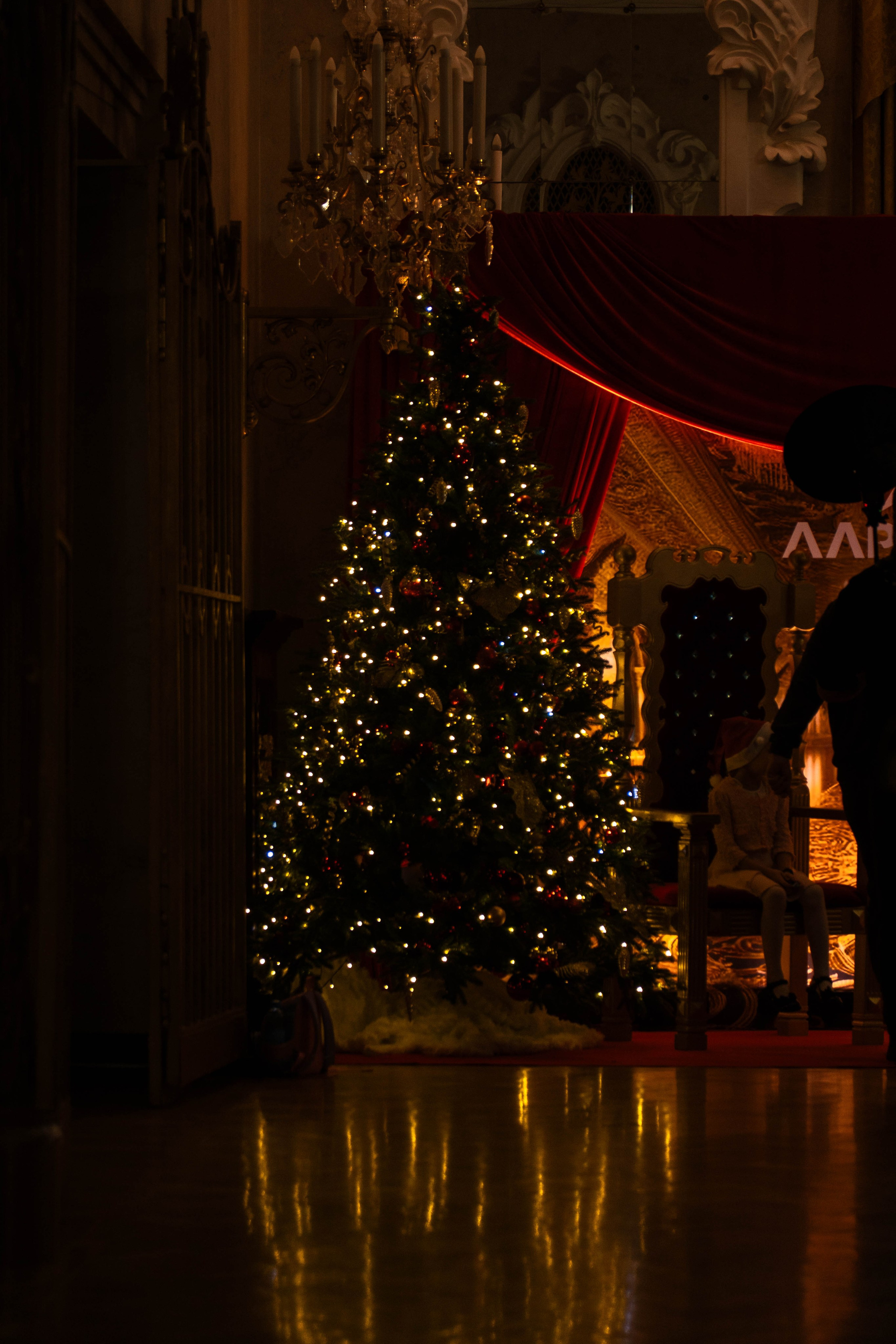 Новогодний утренник Алроса. Фото и видео съёмка в Москве и МО Александр Чапала и Трояк Алеся