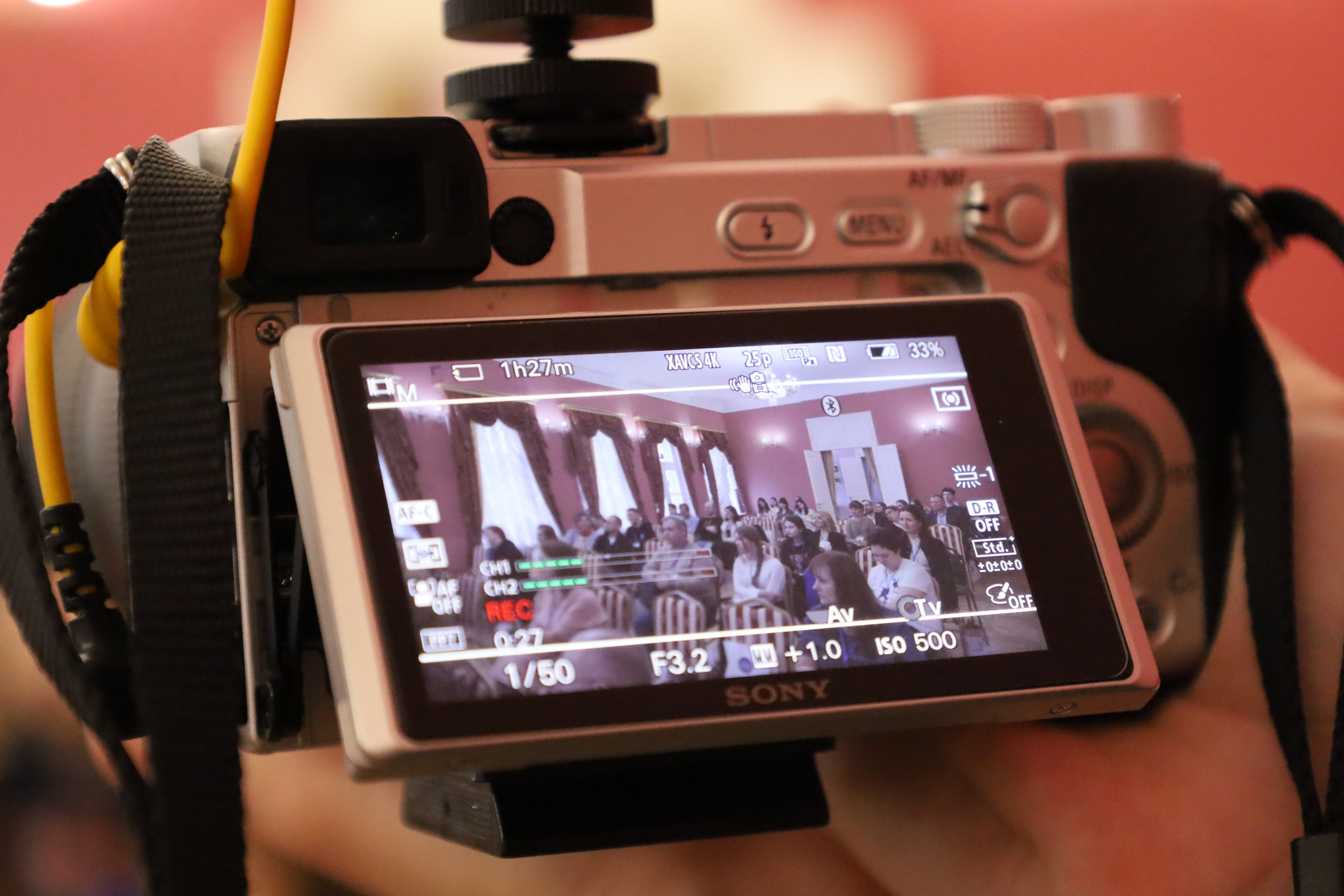 Бизнес-Форум «Деловой Торжок». Никонорова Анастасия