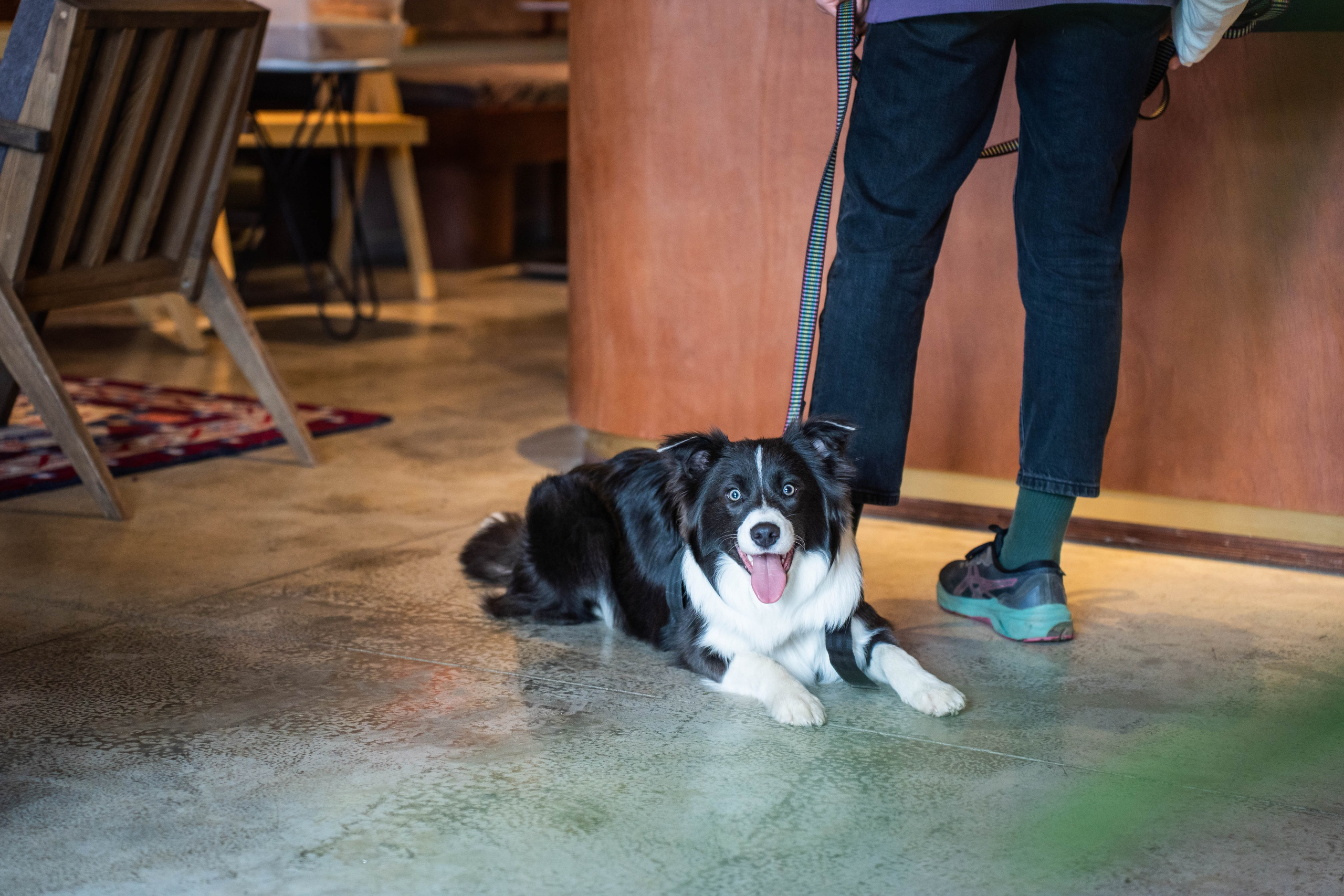 SURF COFFEE| DAY. Фотограф Абакумова Анастасия