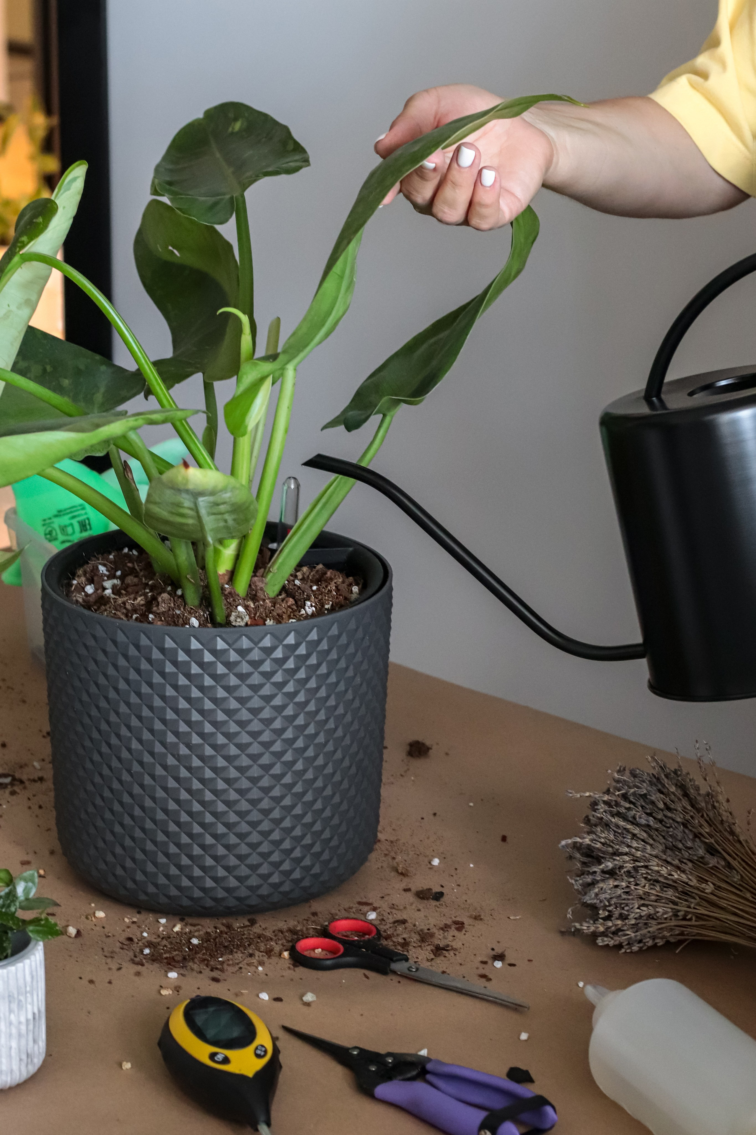 Контент съёмка для фитодизайнера. Фотограф Химки Анна Татарских