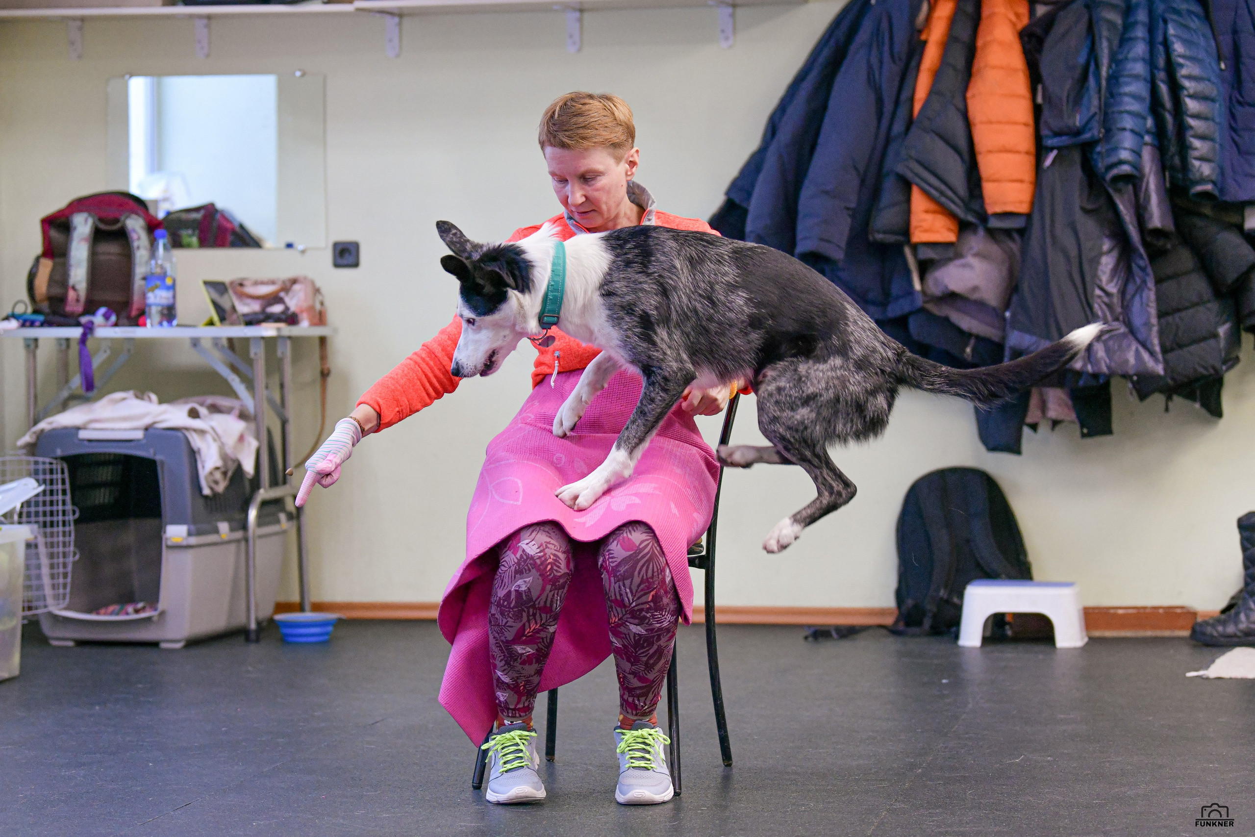 Кинологический клуб «Бодрый хвост». Свой взгляд через объектив