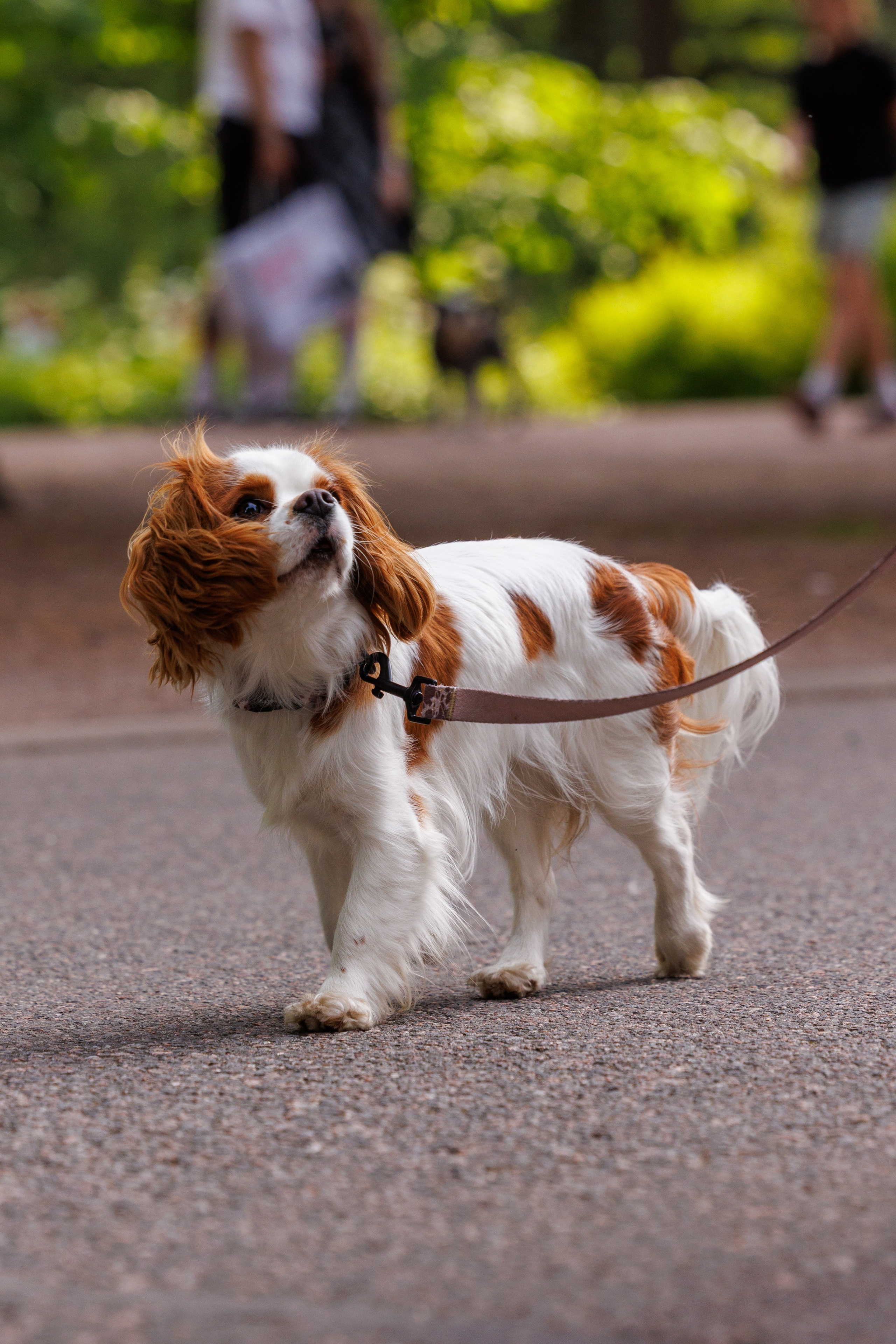 PetShopDays2026. Фотограф Александр Заломаев